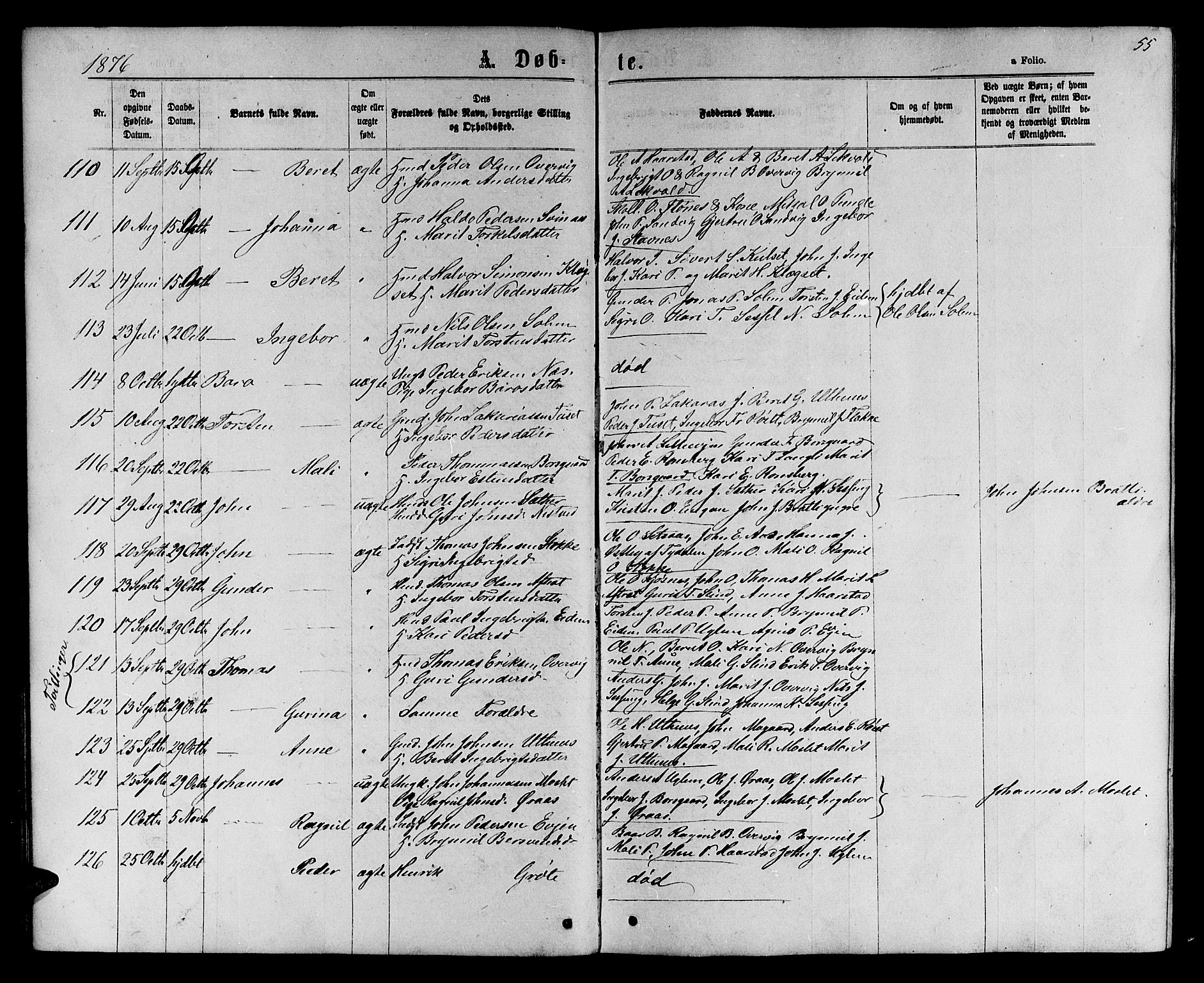 Ministerialprotokoller, klokkerbøker og fødselsregistre - Sør-Trøndelag, AV/SAT-A-1456/695/L1156: Klokkerbok nr. 695C07, 1869-1888, s. 55