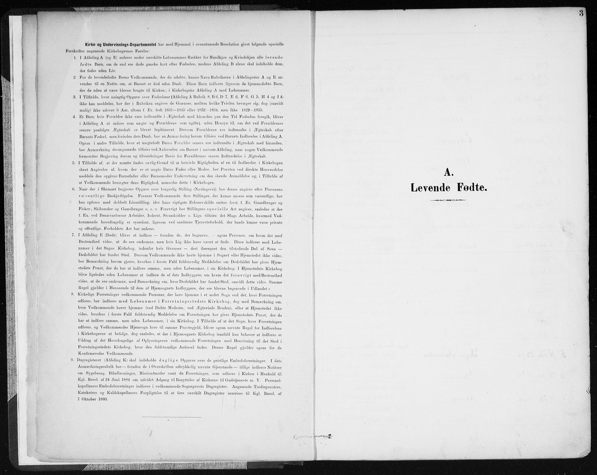 Lyngdal sokneprestkontor, SAK/1111-0029/F/Fa/Fac/L0012: Ministerialbok nr. A 12, 1894-1918, s. 3