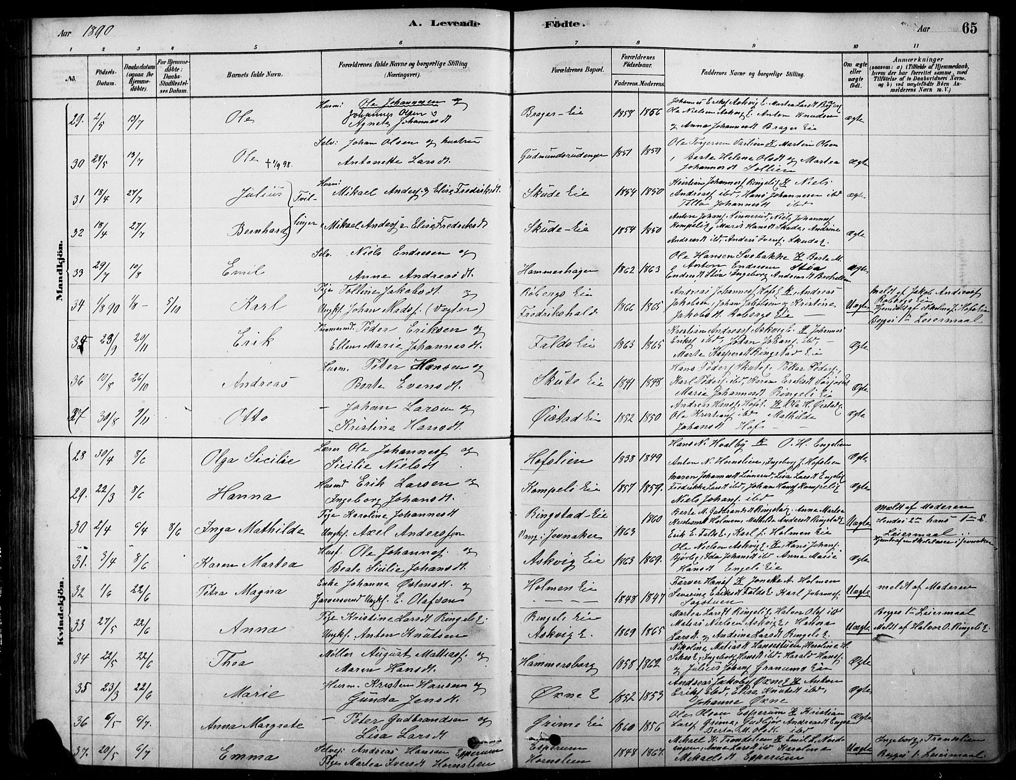 Søndre Land prestekontor, AV/SAH-PREST-122/K/L0003: Ministerialbok nr. 3, 1878-1894, s. 65