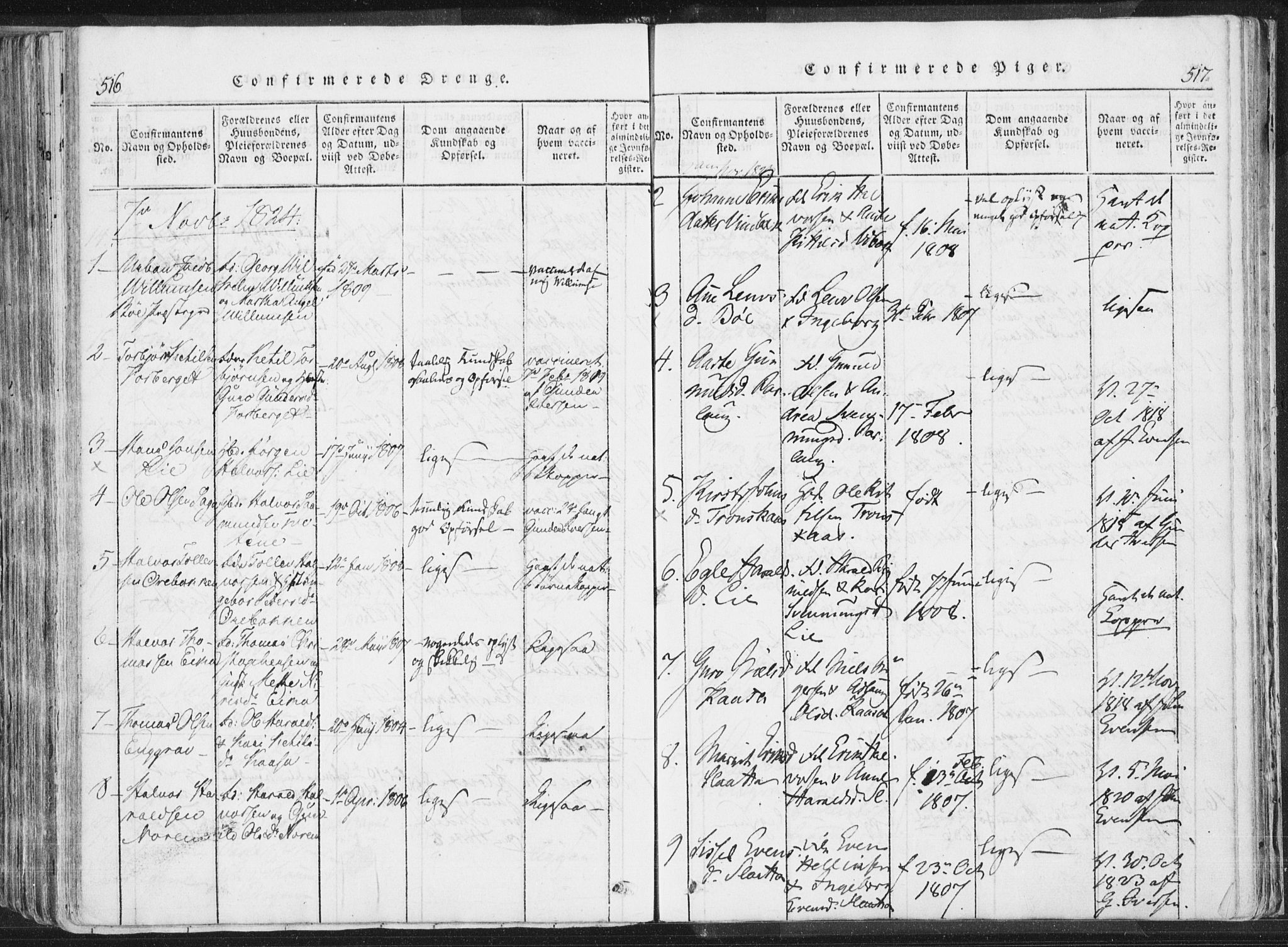Bø kirkebøker, AV/SAKO-A-257/F/Fa/L0006: Ministerialbok nr. 6, 1815-1831, s. 516-517