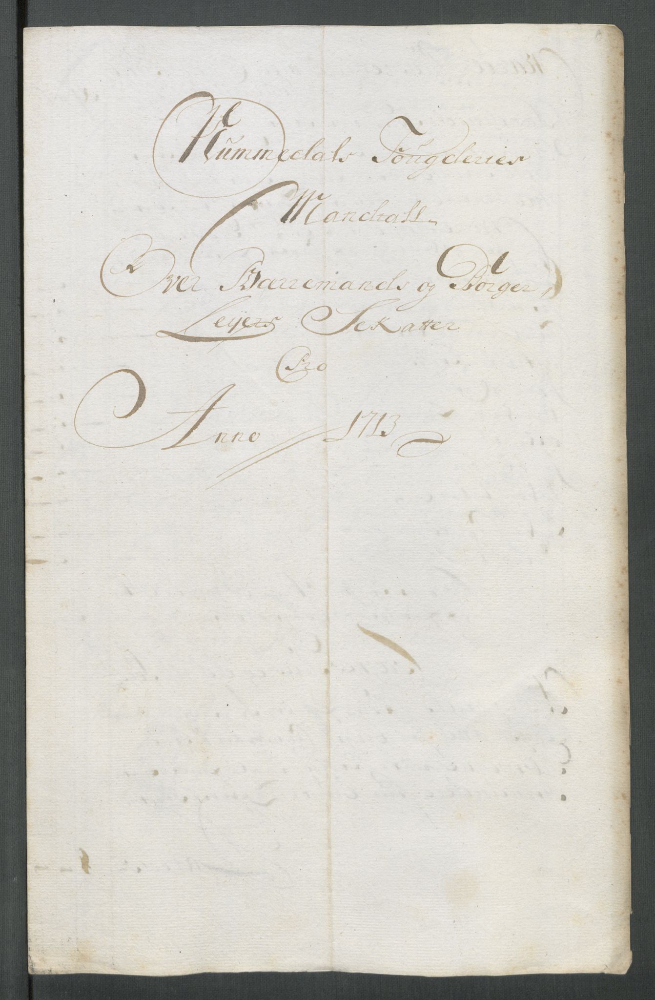 Rentekammeret inntil 1814, Reviderte regnskaper, Fogderegnskap, RA/EA-4092/R64/L4434: Fogderegnskap Namdal, 1713, s. 125