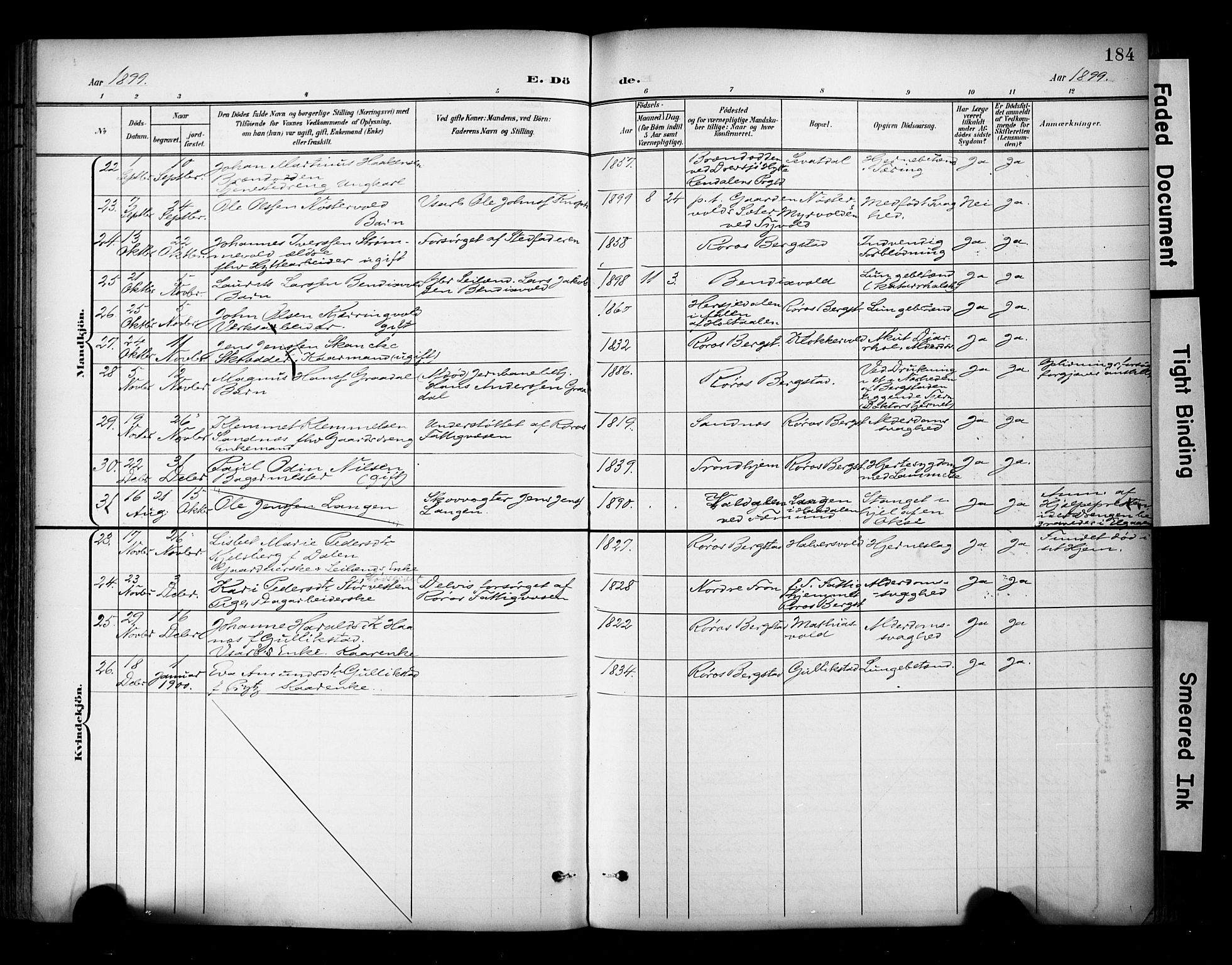 Ministerialprotokoller, klokkerbøker og fødselsregistre - Sør-Trøndelag, SAT/A-1456/681/L0936: Ministerialbok nr. 681A14, 1899-1908, s. 184