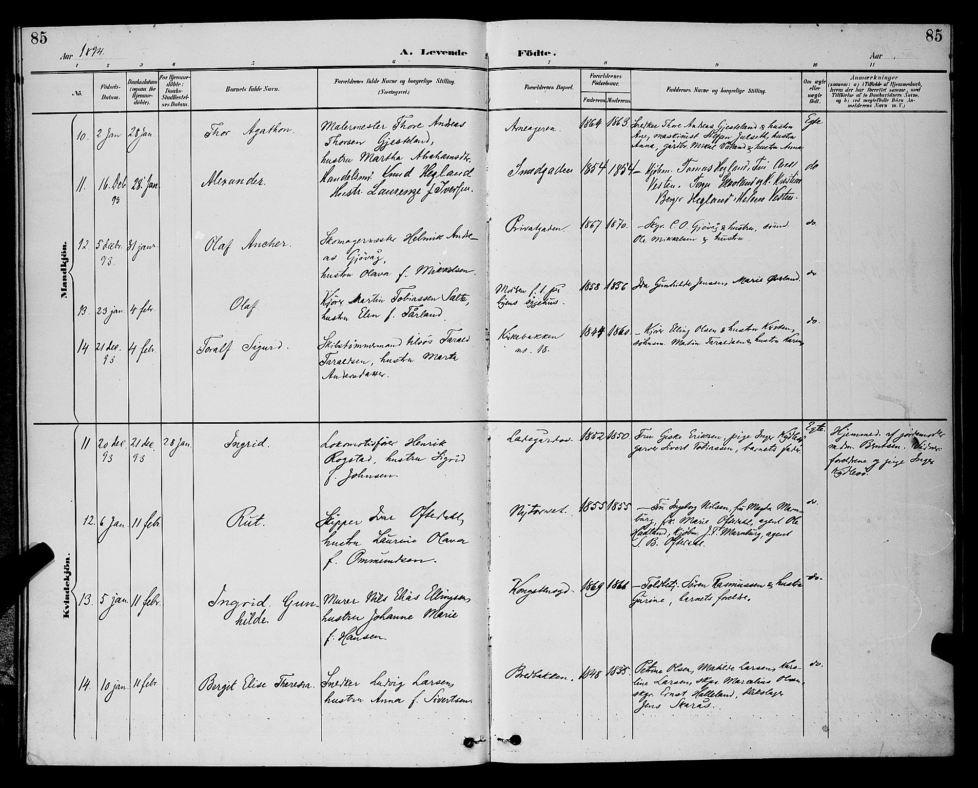 St. Petri sokneprestkontor, AV/SAST-A-101813/001/30/30BB/L0006: Klokkerbok nr. B 6, 1890-1897, s. 85