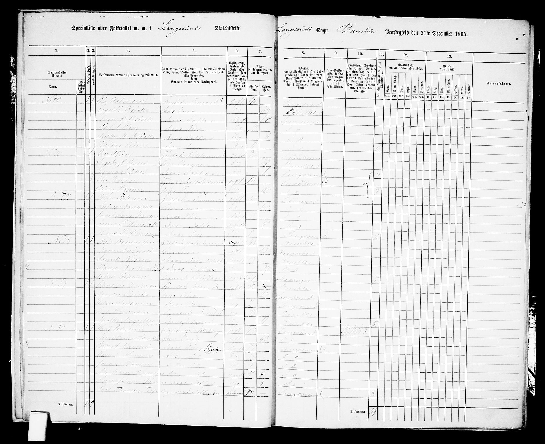 RA, Folketelling 1865 for 0814P Bamble prestegjeld, 1865, s. 197