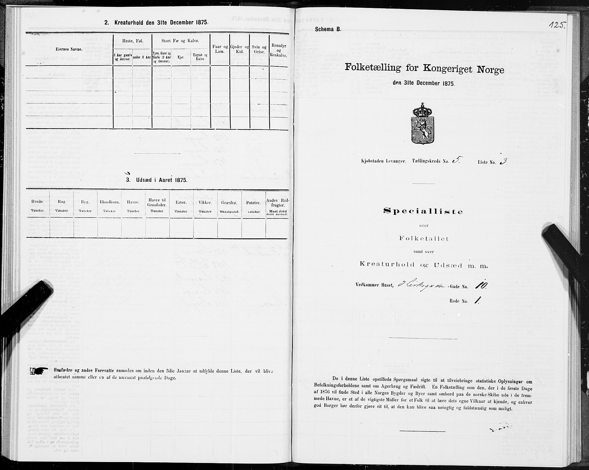 SAT, Folketelling 1875 for 1701B Levanger prestegjeld, Levanger kjøpstad, 1875, s. 125