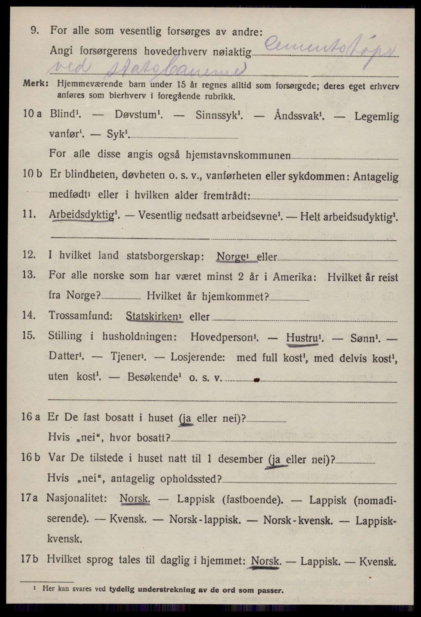 SAT, Folketelling 1920 for 1660 Strinda herred, 1920, s. 23419