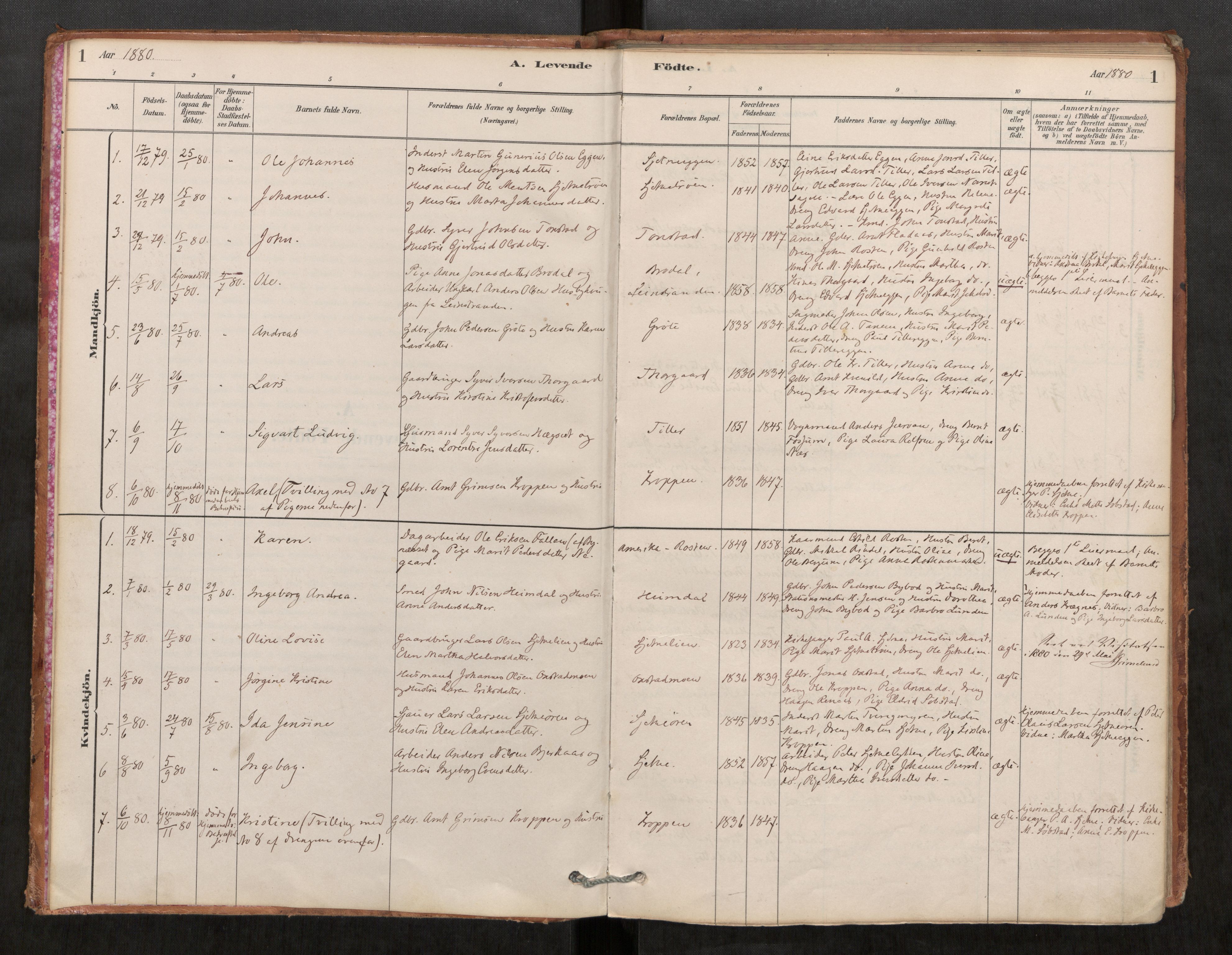 Klæbu sokneprestkontor, AV/SAT-A-1112: Ministerialbok nr. 1, 1880-1900, s. 1