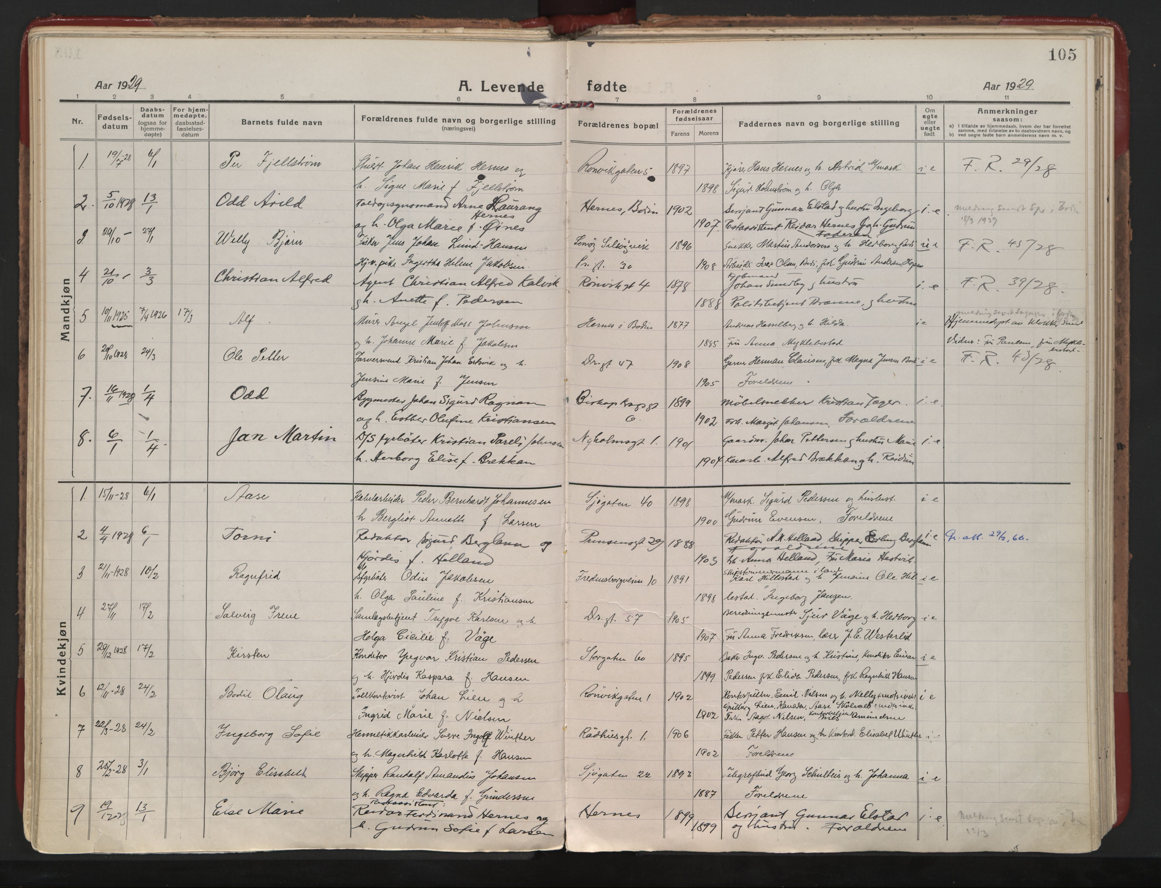 Ministerialprotokoller, klokkerbøker og fødselsregistre - Nordland, AV/SAT-A-1459/801/L0017: Ministerialbok nr. 801A17, 1917-1930, s. 105