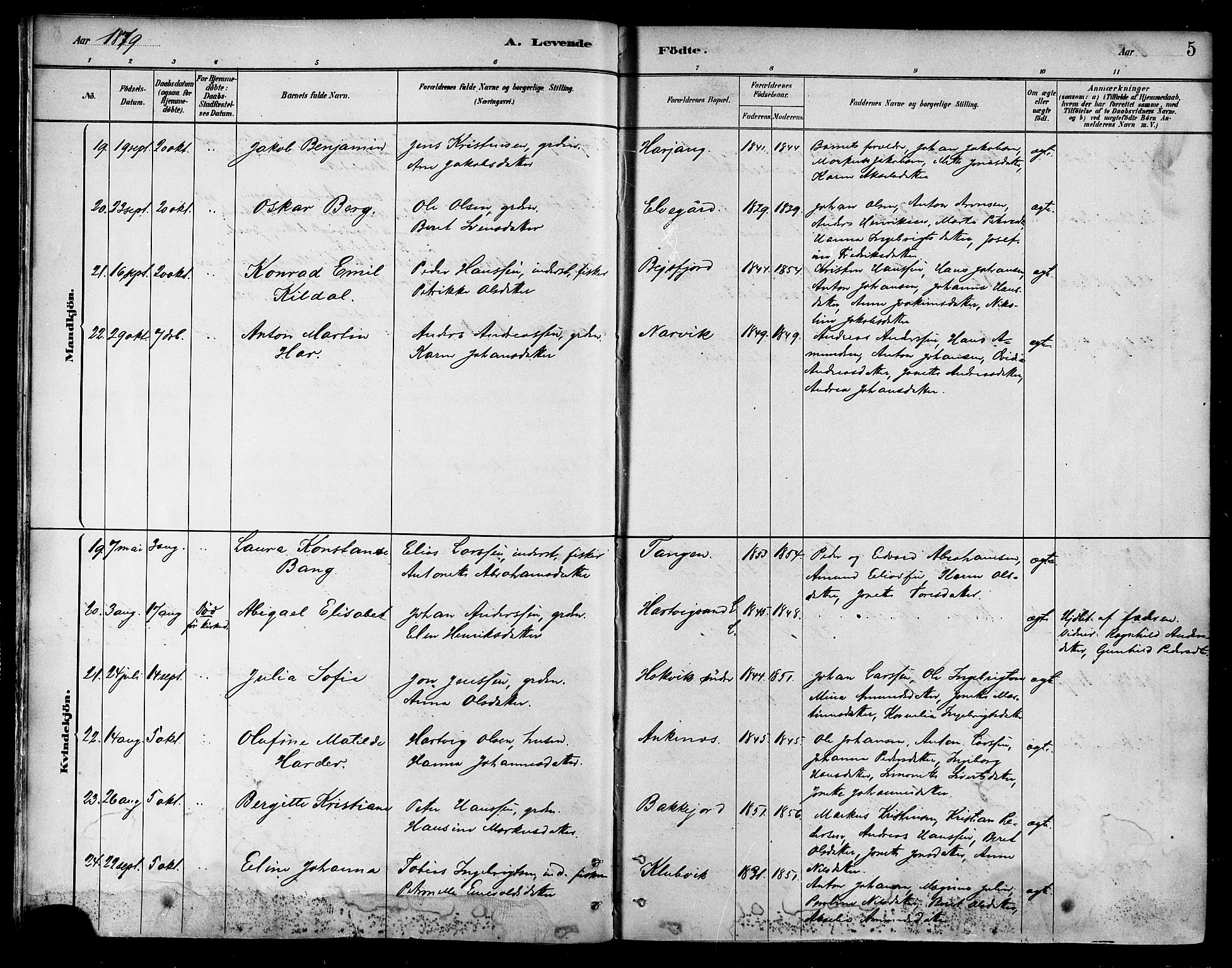 Ministerialprotokoller, klokkerbøker og fødselsregistre - Nordland, AV/SAT-A-1459/866/L0938: Ministerialbok nr. 866A01, 1879-1893, s. 5