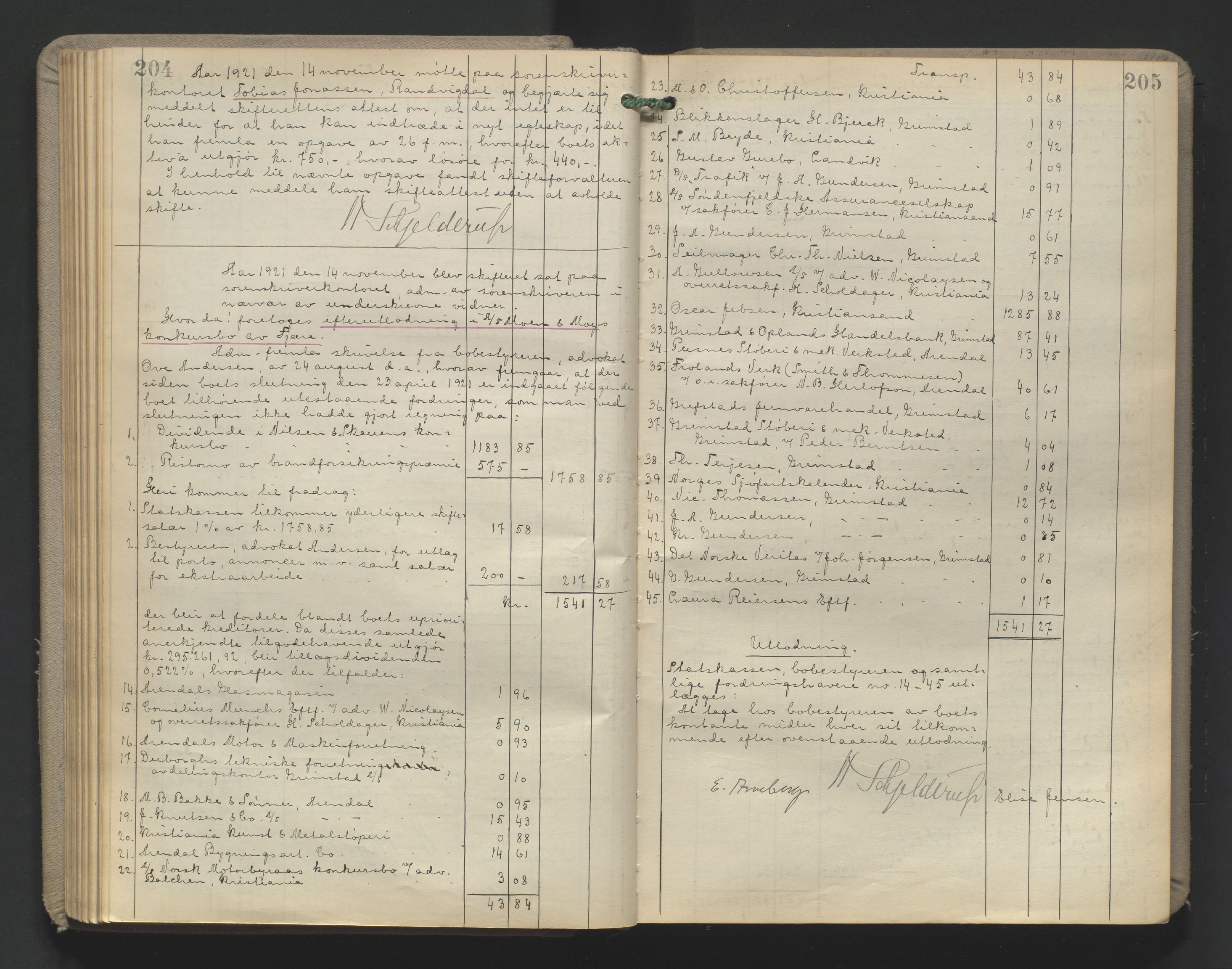 Vestre Nedenes/Sand sorenskriveri, AV/SAK-1221-0010/H/Hc/L0022: Skifteutlodningsprotokoll nr. 9, 1919-1932, s. 204-205