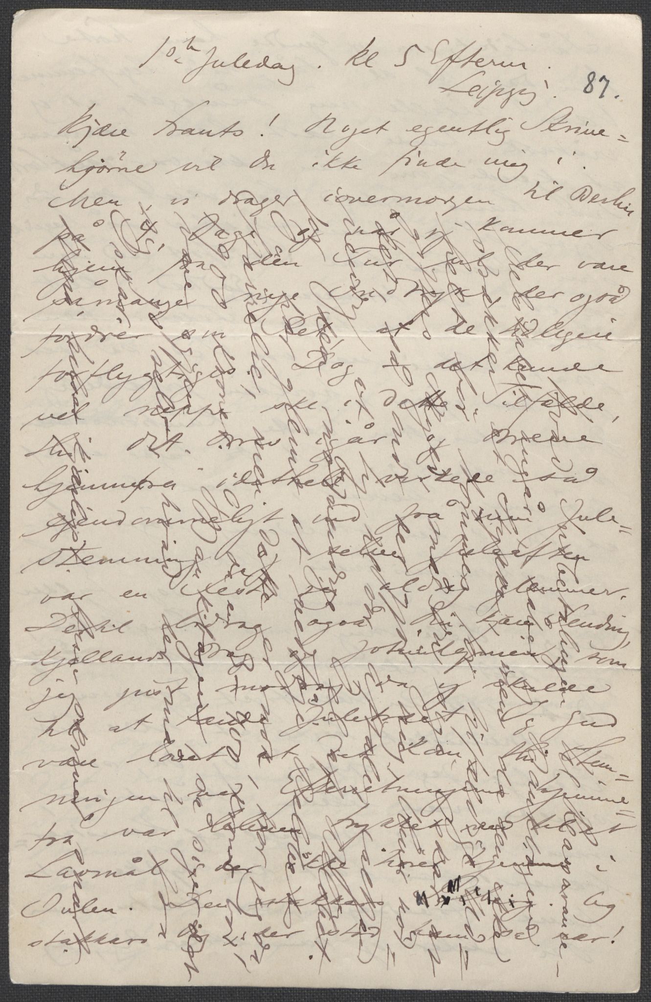Beyer, Frants, RA/PA-0132/F/L0001: Brev fra Edvard Grieg til Frantz Beyer og "En del optegnelser som kan tjene til kommentar til brevene" av Marie Beyer, 1872-1907, s. 239