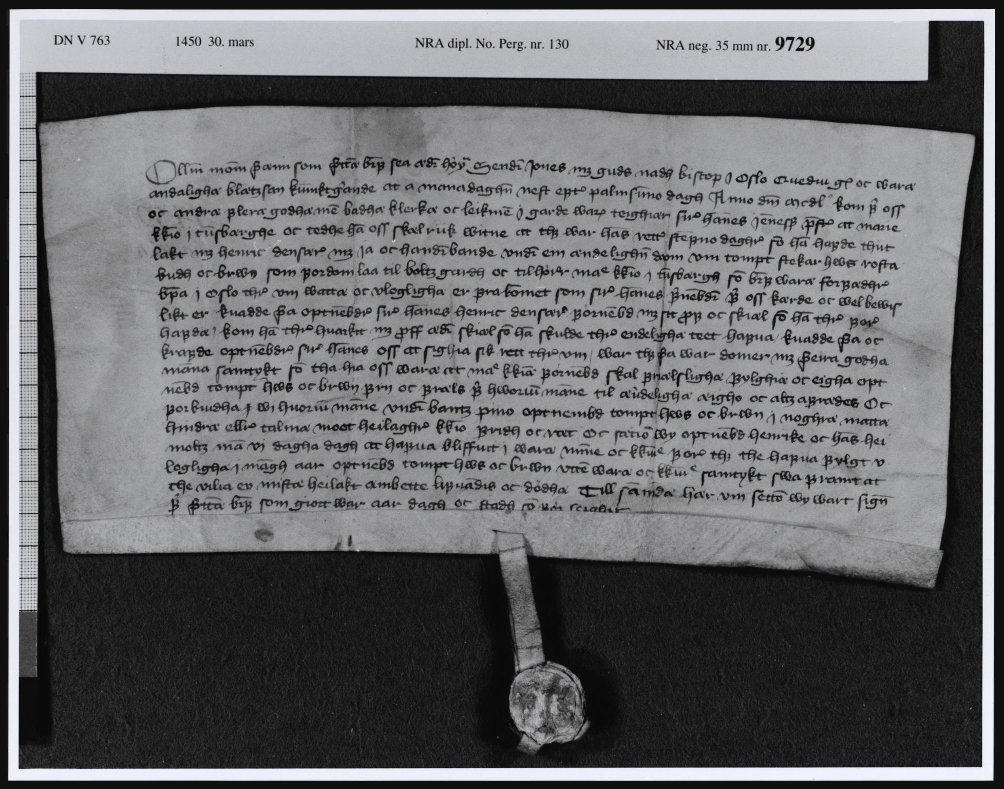 Riksarkivets diplomsamling, RA/EA-5965/F08, 1224-1564, s. 293