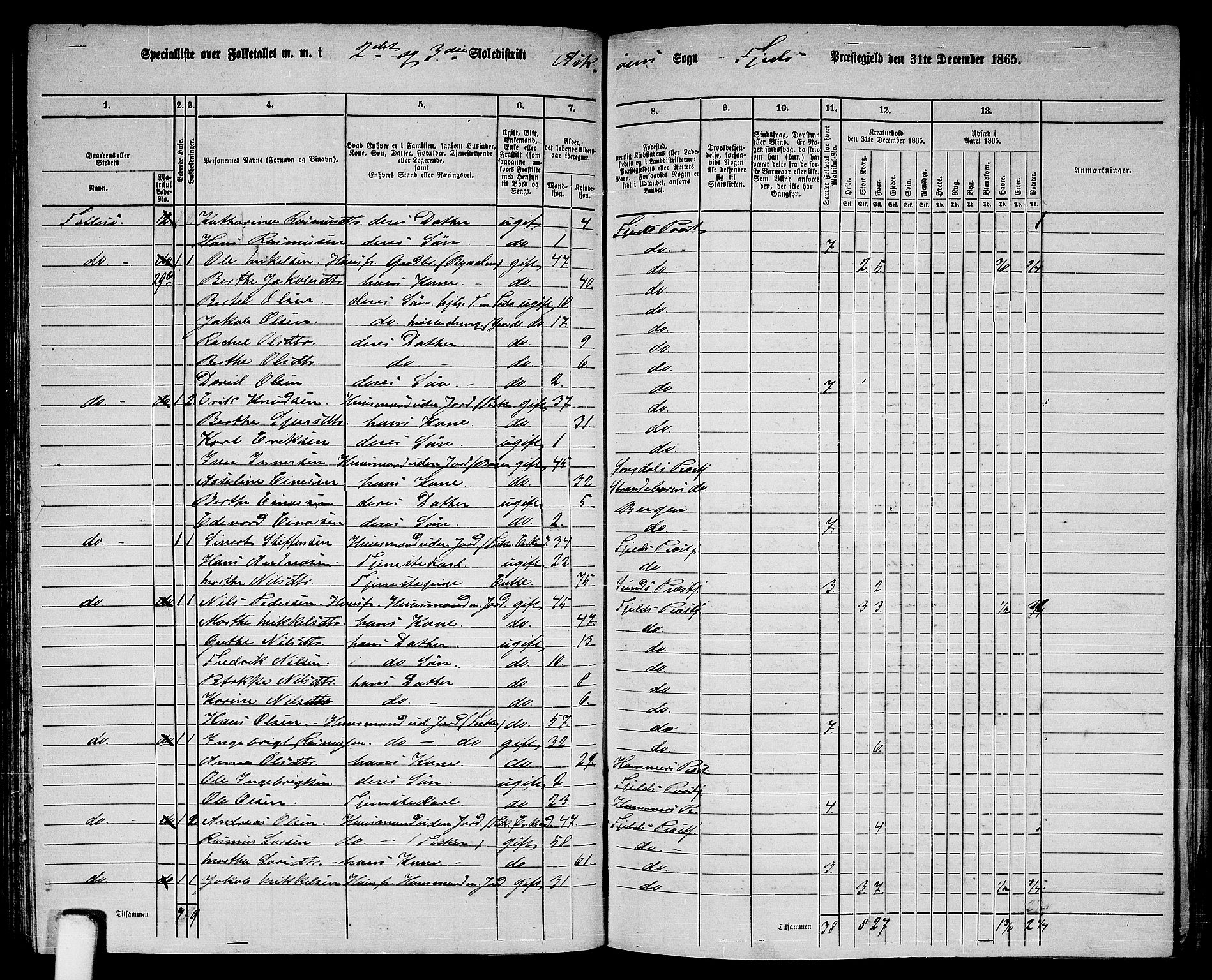 RA, Folketelling 1865 for 1246P Fjell prestegjeld, 1865, s. 135