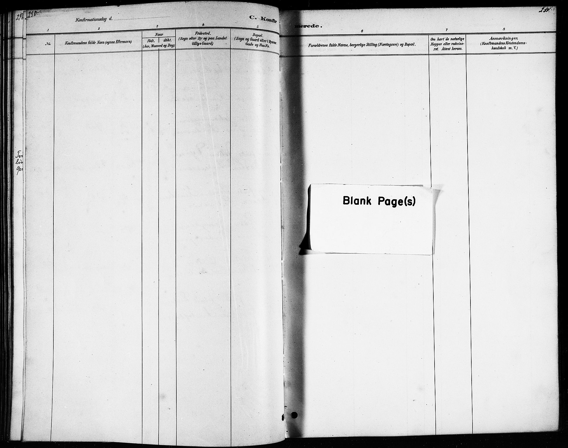 Ministerialprotokoller, klokkerbøker og fødselsregistre - Nordland, AV/SAT-A-1459/807/L0123: Klokkerbok nr. 807C01, 1884-1910, s. 250-251