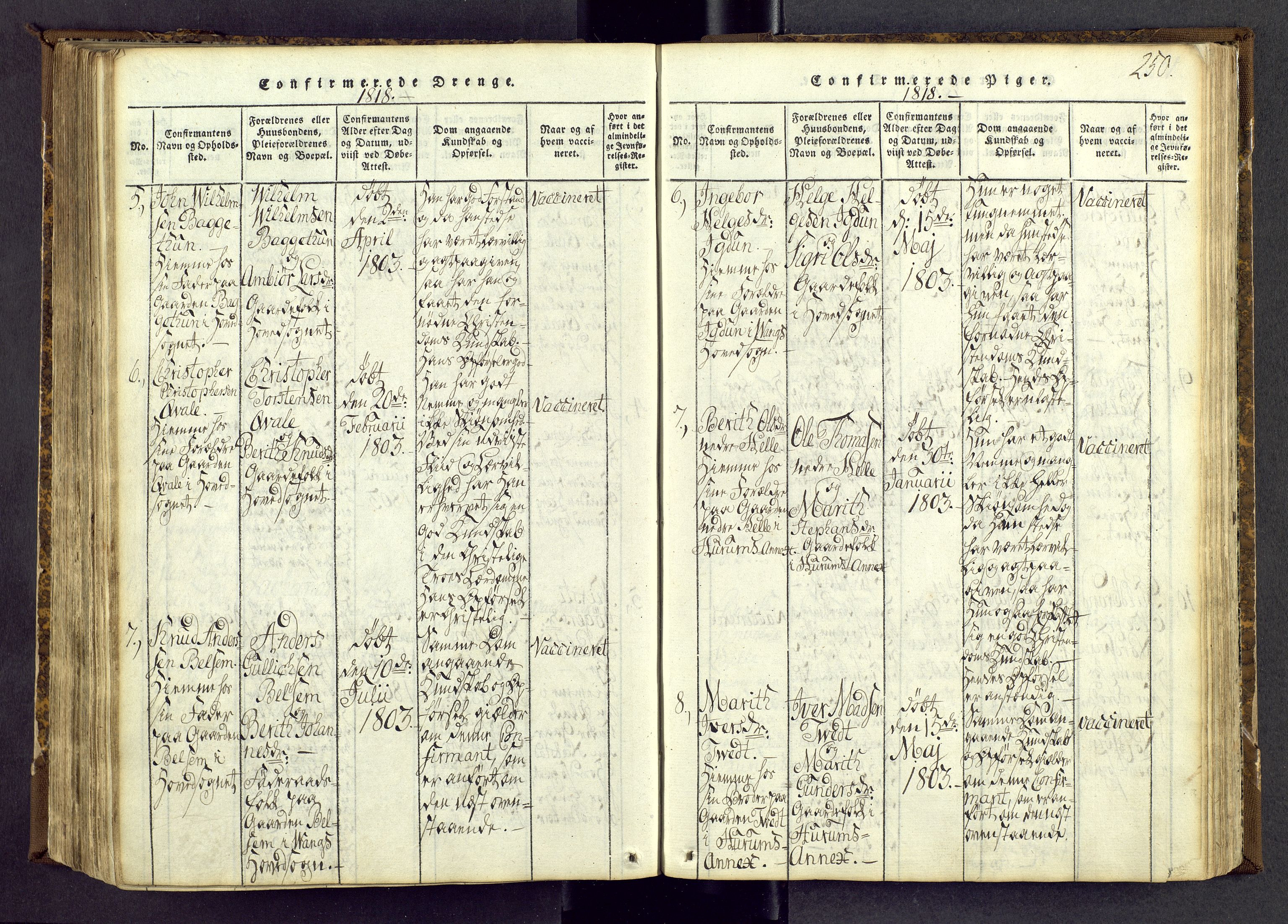 Vang prestekontor, Valdres, AV/SAH-PREST-140/H/Ha/L0004: Ministerialbok nr. 4, 1814-1831, s. 250