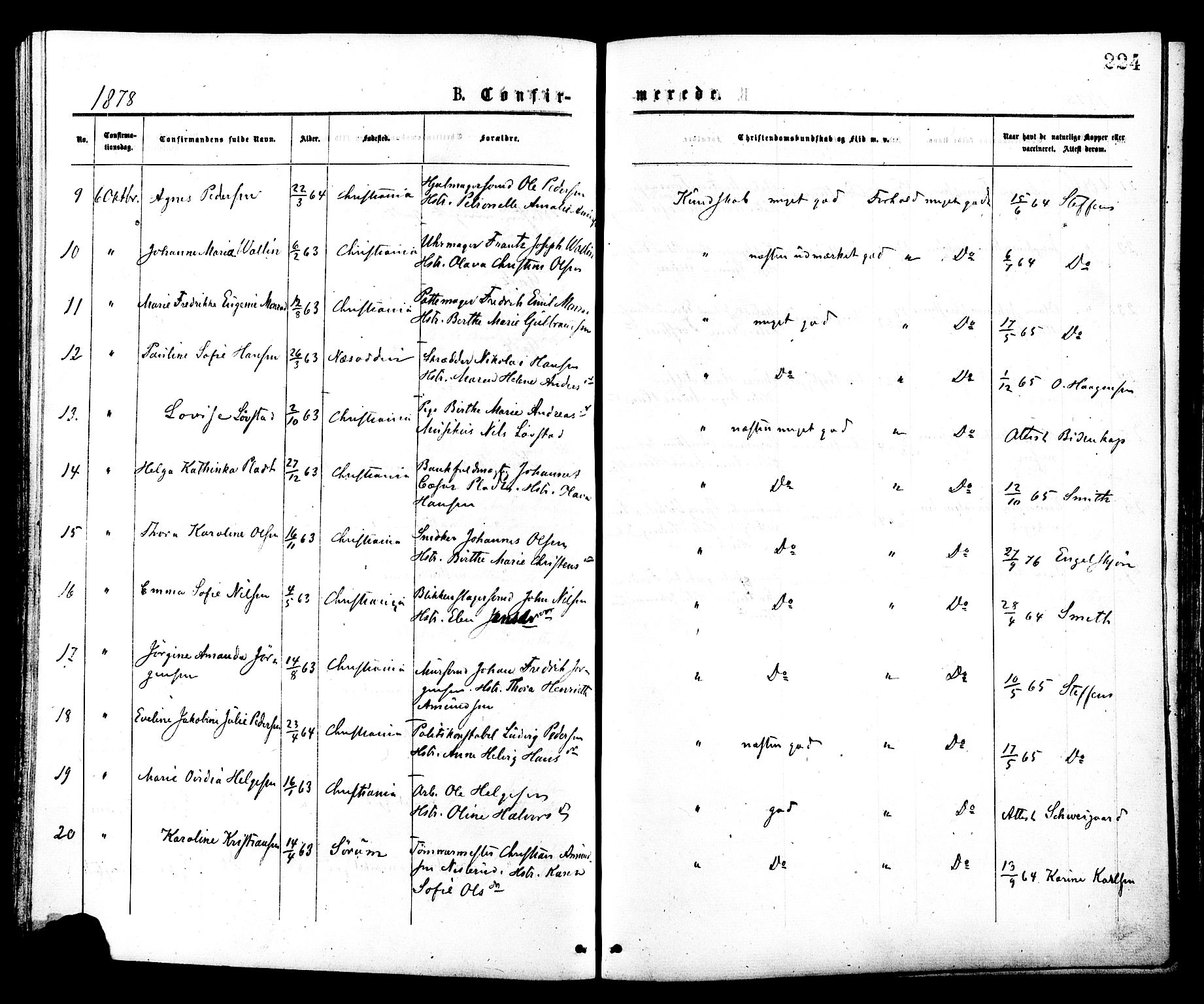 Johannes prestekontor Kirkebøker, AV/SAO-A-10852/F/Fa/L0001: Ministerialbok nr. 1, 1875-1881, s. 224