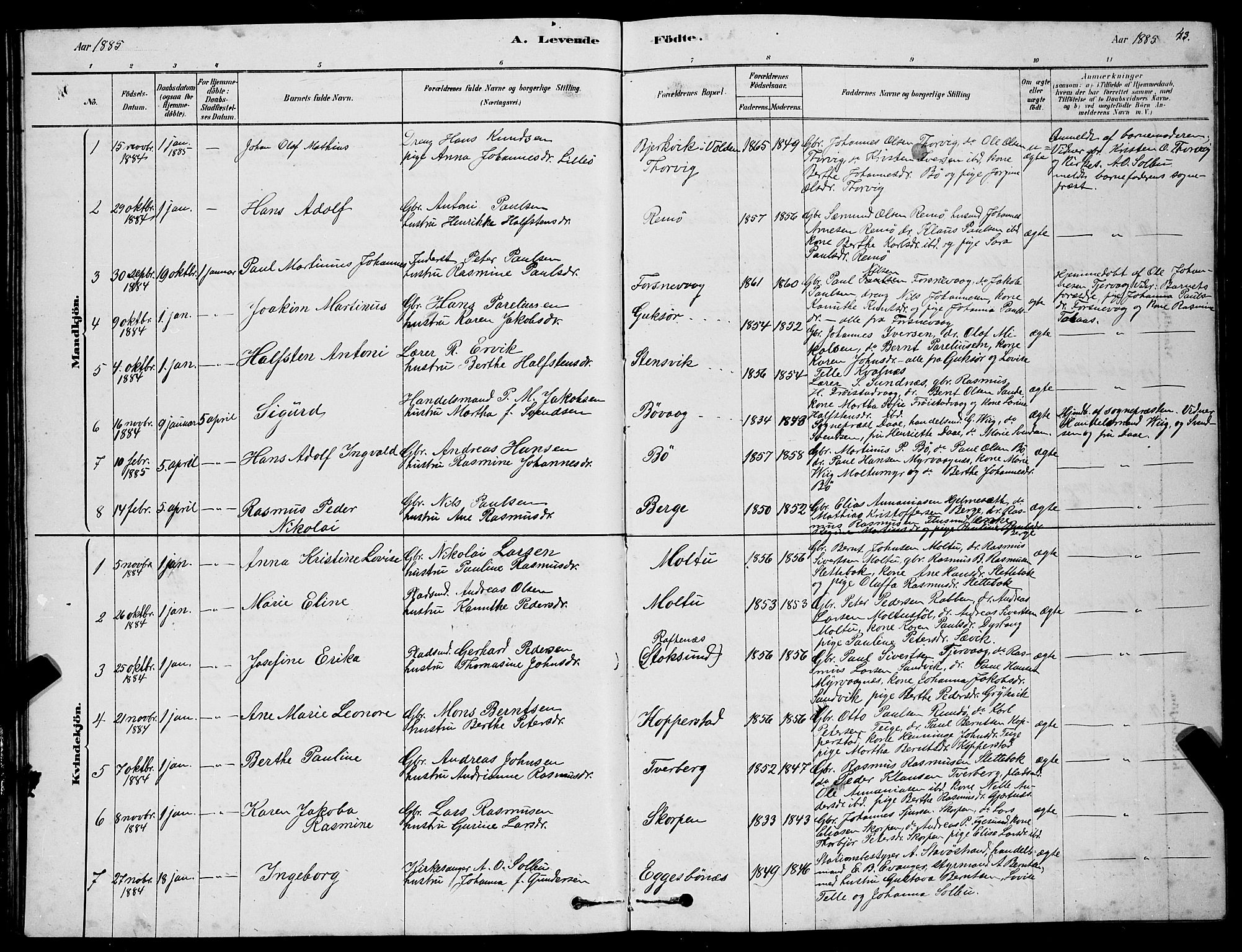 Ministerialprotokoller, klokkerbøker og fødselsregistre - Møre og Romsdal, AV/SAT-A-1454/507/L0081: Klokkerbok nr. 507C04, 1878-1898, s. 43