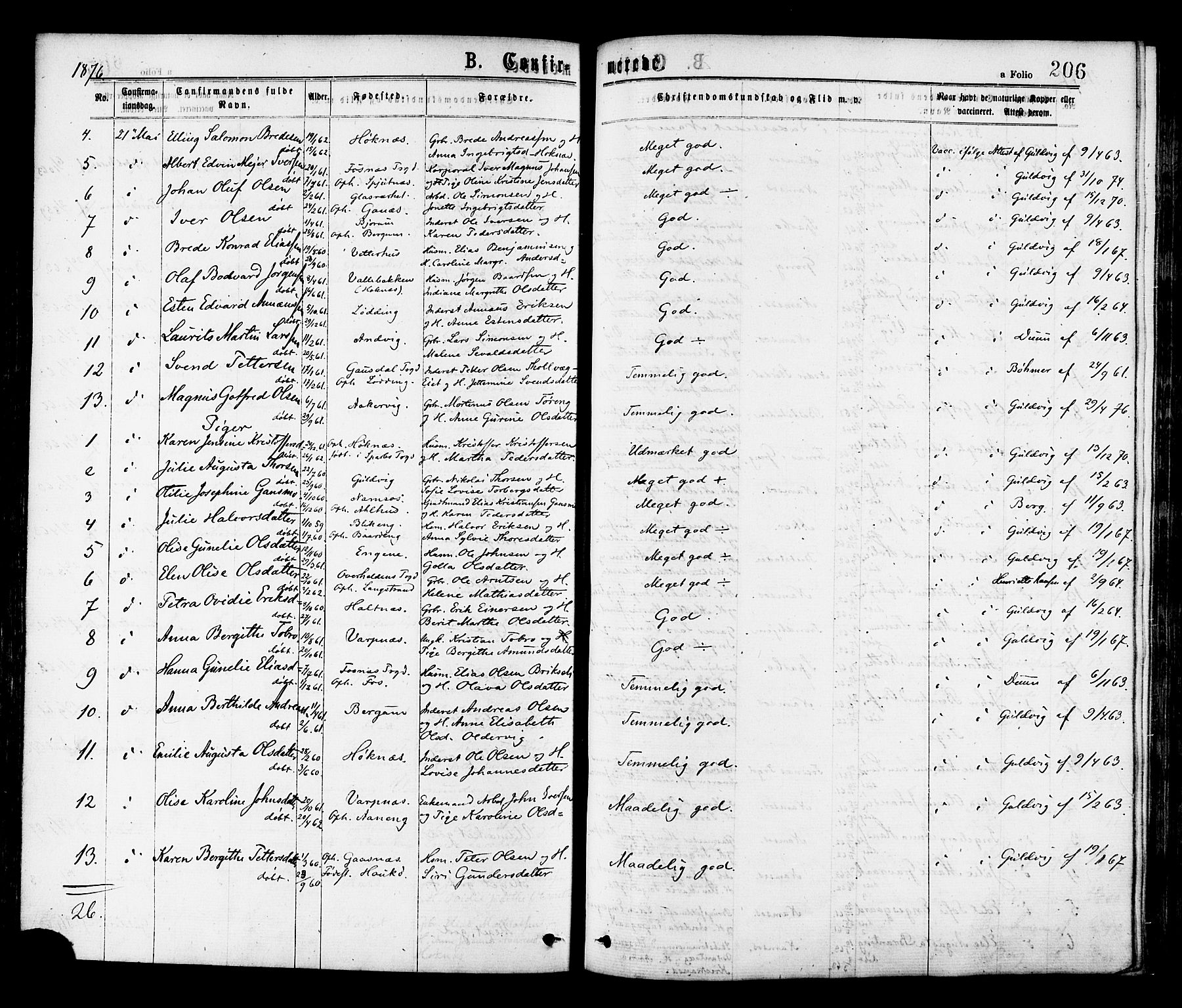 Ministerialprotokoller, klokkerbøker og fødselsregistre - Nord-Trøndelag, AV/SAT-A-1458/768/L0572: Ministerialbok nr. 768A07, 1874-1886, s. 206