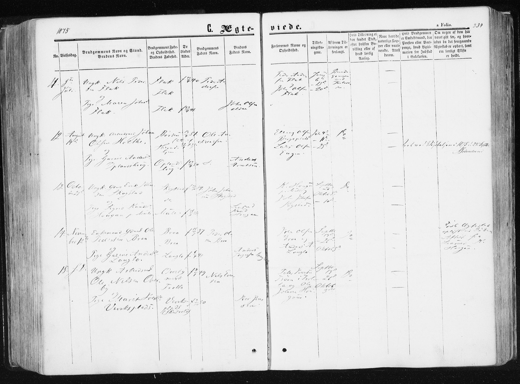 Ministerialprotokoller, klokkerbøker og fødselsregistre - Sør-Trøndelag, AV/SAT-A-1456/612/L0377: Ministerialbok nr. 612A09, 1859-1877, s. 334