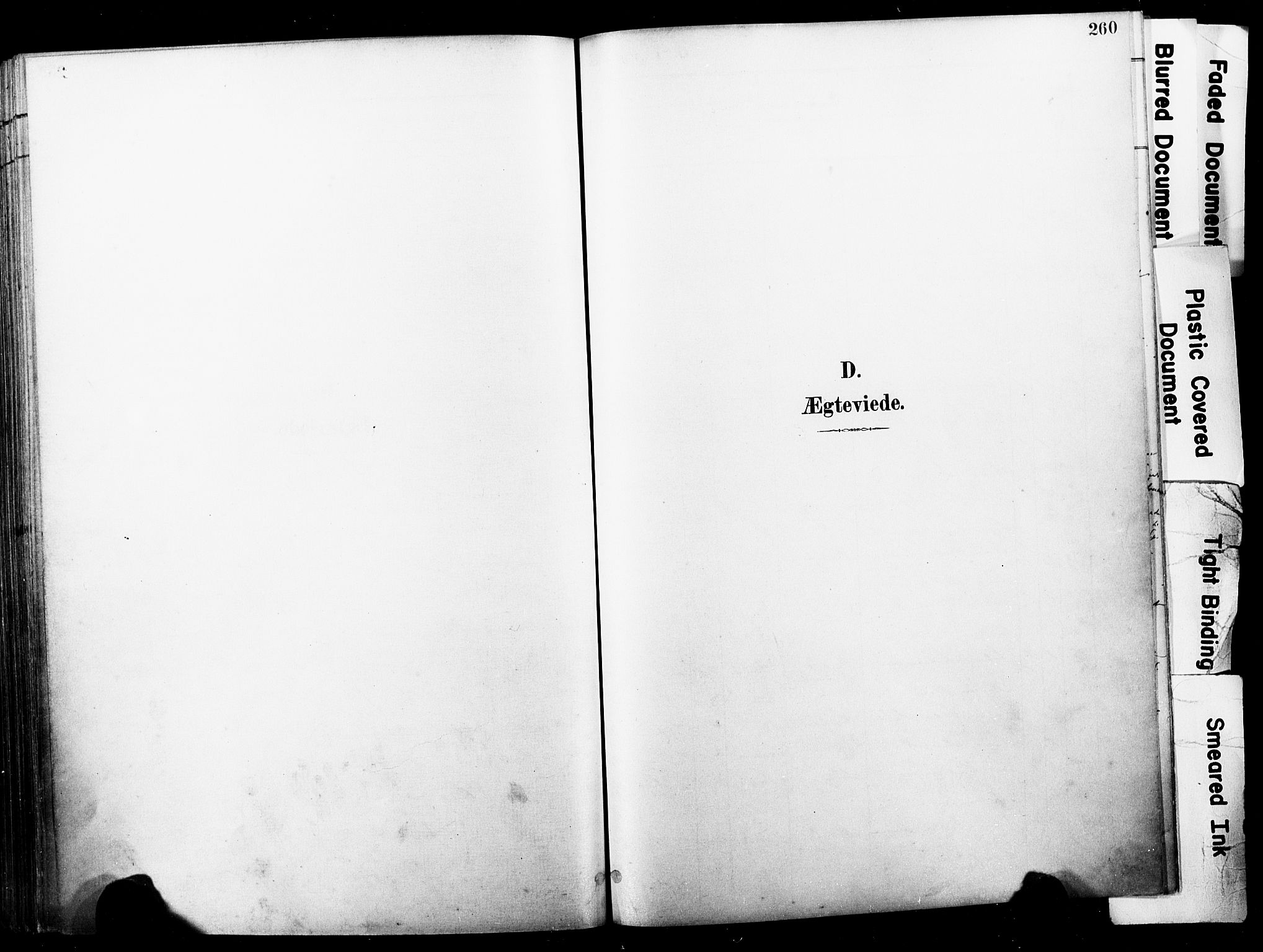 Horten kirkebøker, SAKO/A-348/F/Fa/L0005: Ministerialbok nr. 5, 1896-1904, s. 260