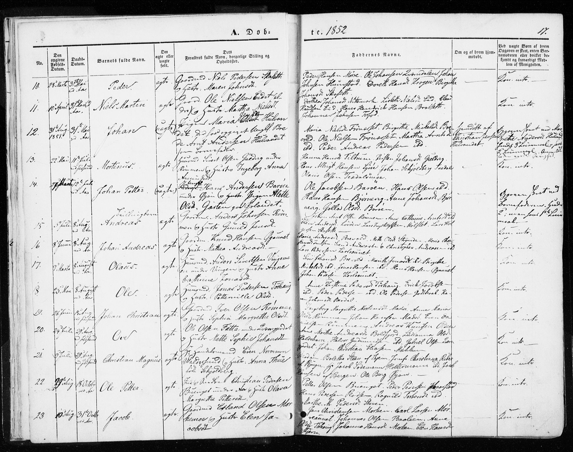 Ministerialprotokoller, klokkerbøker og fødselsregistre - Sør-Trøndelag, SAT/A-1456/655/L0677: Ministerialbok nr. 655A06, 1847-1860, s. 17