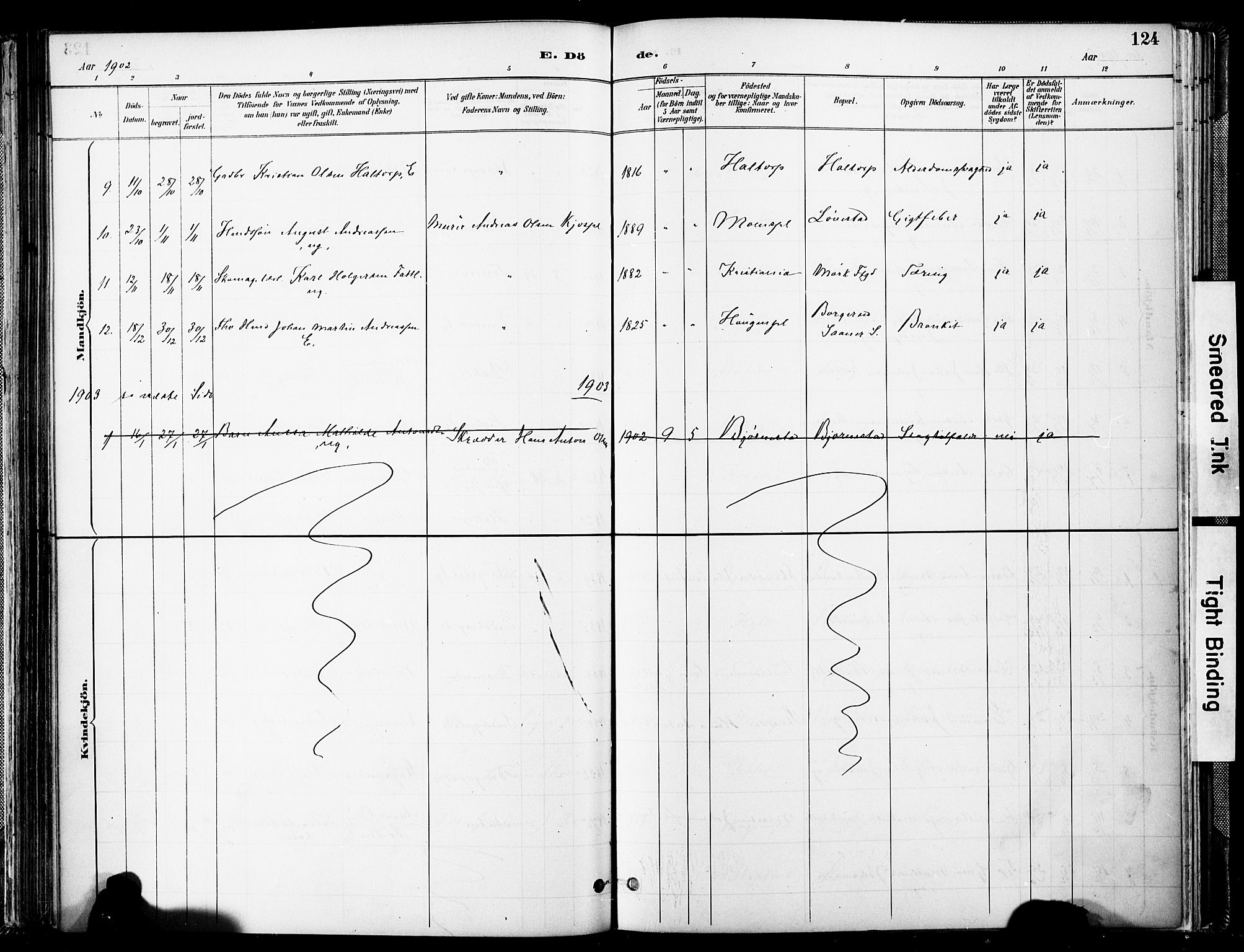 Spydeberg prestekontor Kirkebøker, SAO/A-10924/F/Fa/L0008: Ministerialbok nr. I 8, 1886-1900, s. 124