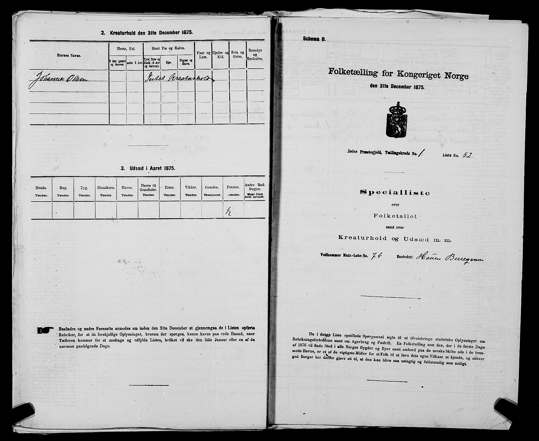 SAST, Folketelling 1875 for 1138P Jelsa prestegjeld, 1875, s. 110