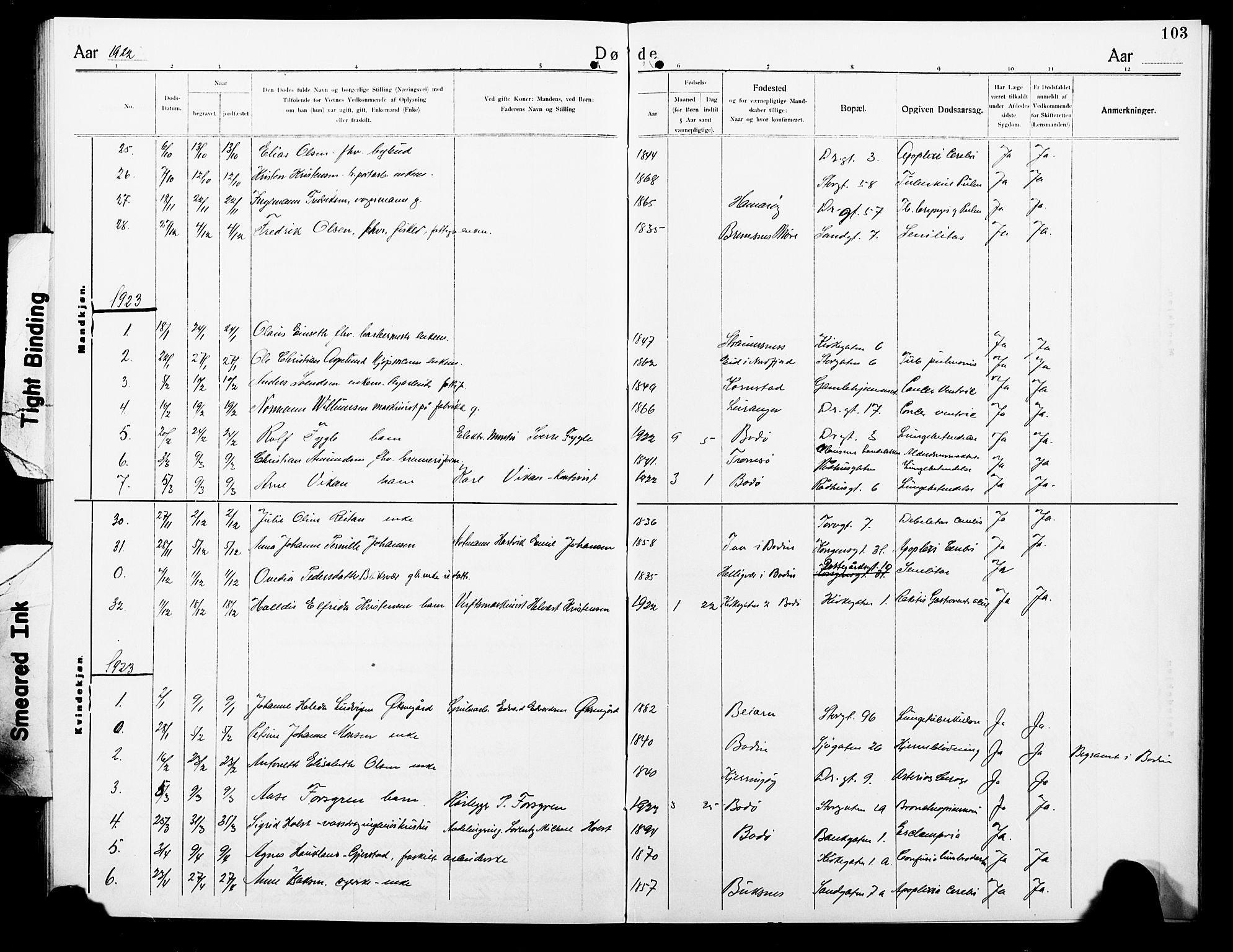 Ministerialprotokoller, klokkerbøker og fødselsregistre - Nordland, SAT/A-1459/801/L0035: Klokkerbok nr. 801C10, 1910-1923, s. 103
