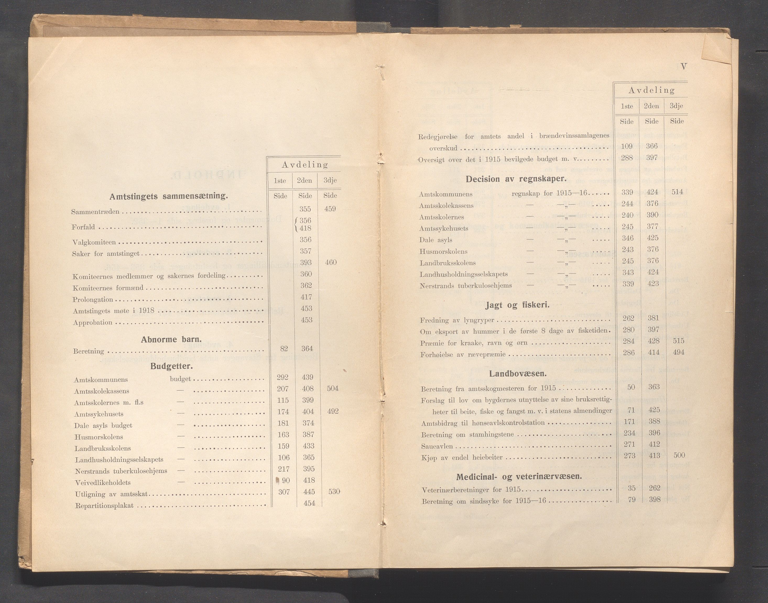 Rogaland fylkeskommune - Fylkesrådmannen , IKAR/A-900/A, 1917, s. 4