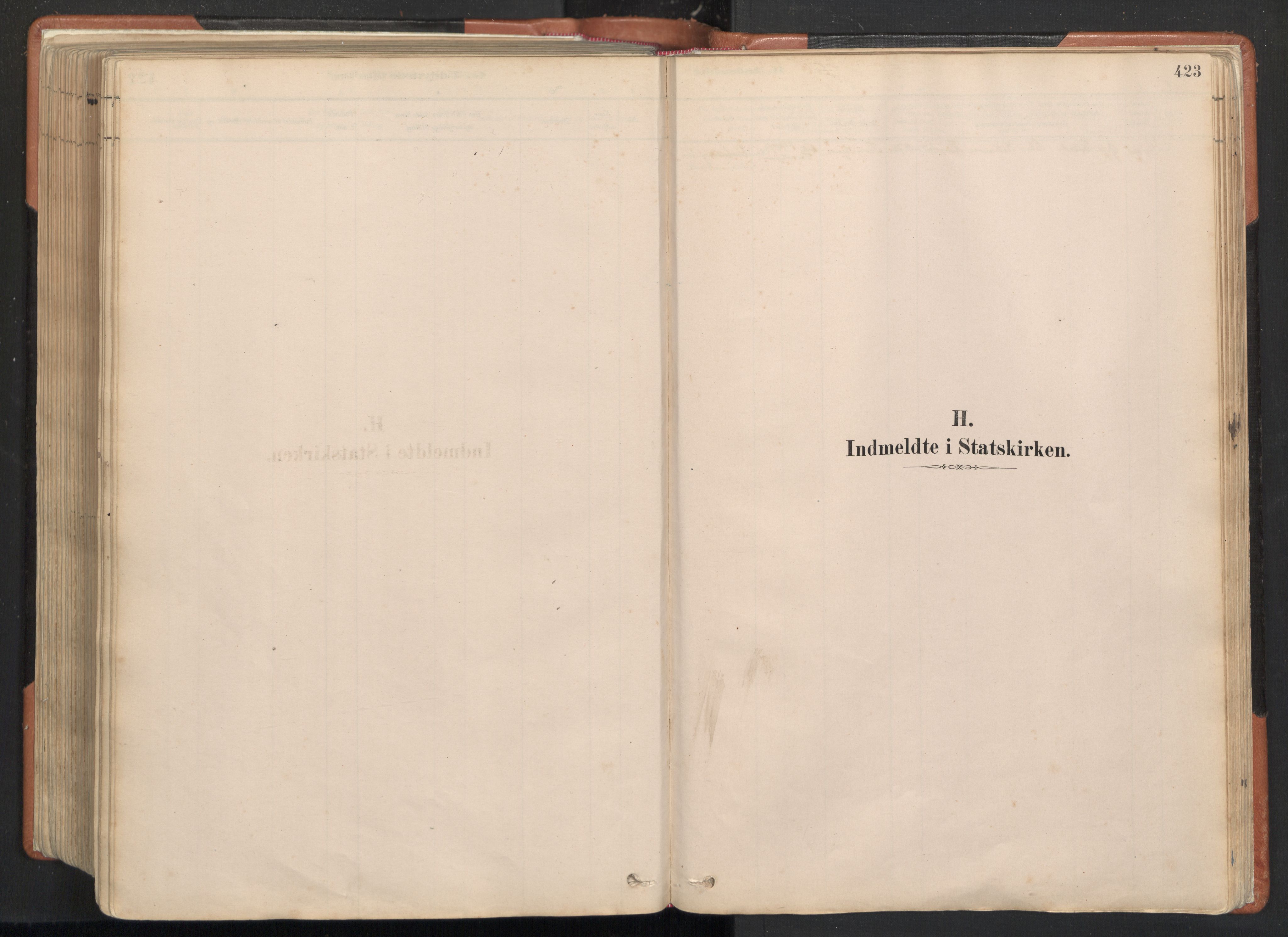 Ministerialprotokoller, klokkerbøker og fødselsregistre - Nordland, AV/SAT-A-1459/817/L0264: Ministerialbok nr. 817A04, 1878-1907, s. 423