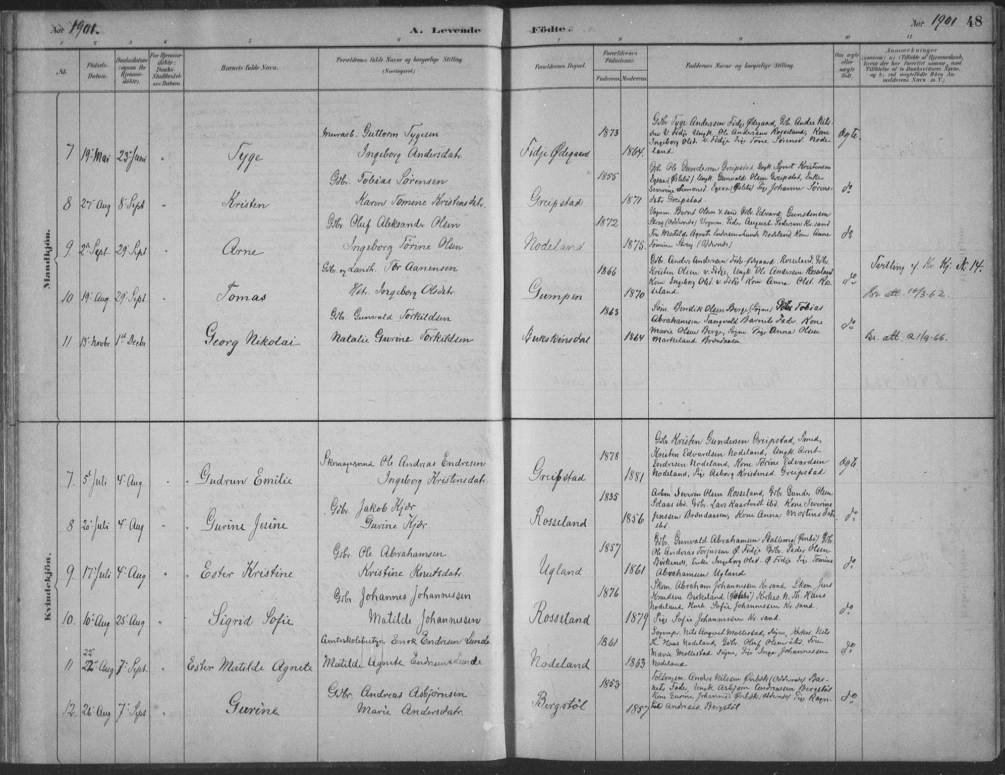 Søgne sokneprestkontor, AV/SAK-1111-0037/F/Fa/Faa/L0003: Ministerialbok nr. A 3, 1883-1910, s. 48