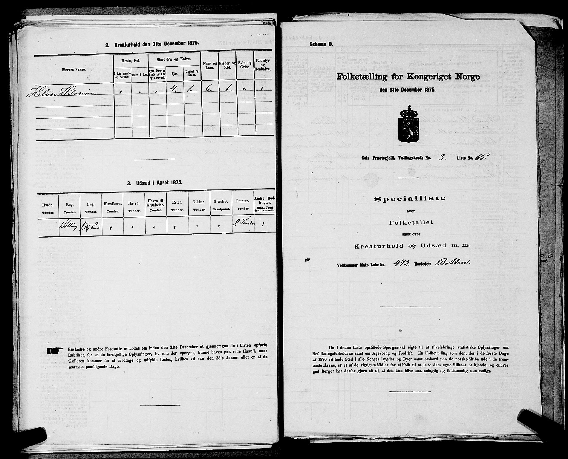 SAKO, Folketelling 1875 for 0617P Gol prestegjeld, 1875, s. 588