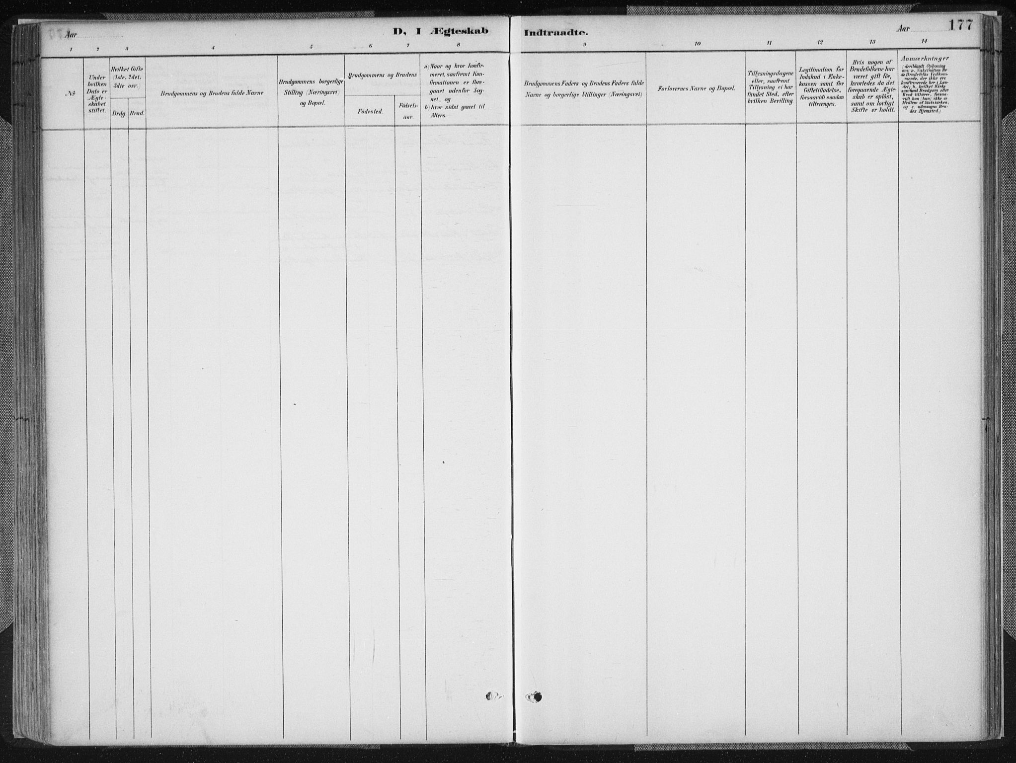 Birkenes sokneprestkontor, SAK/1111-0004/F/Fa/L0005: Ministerialbok nr. A 5, 1887-1907, s. 177