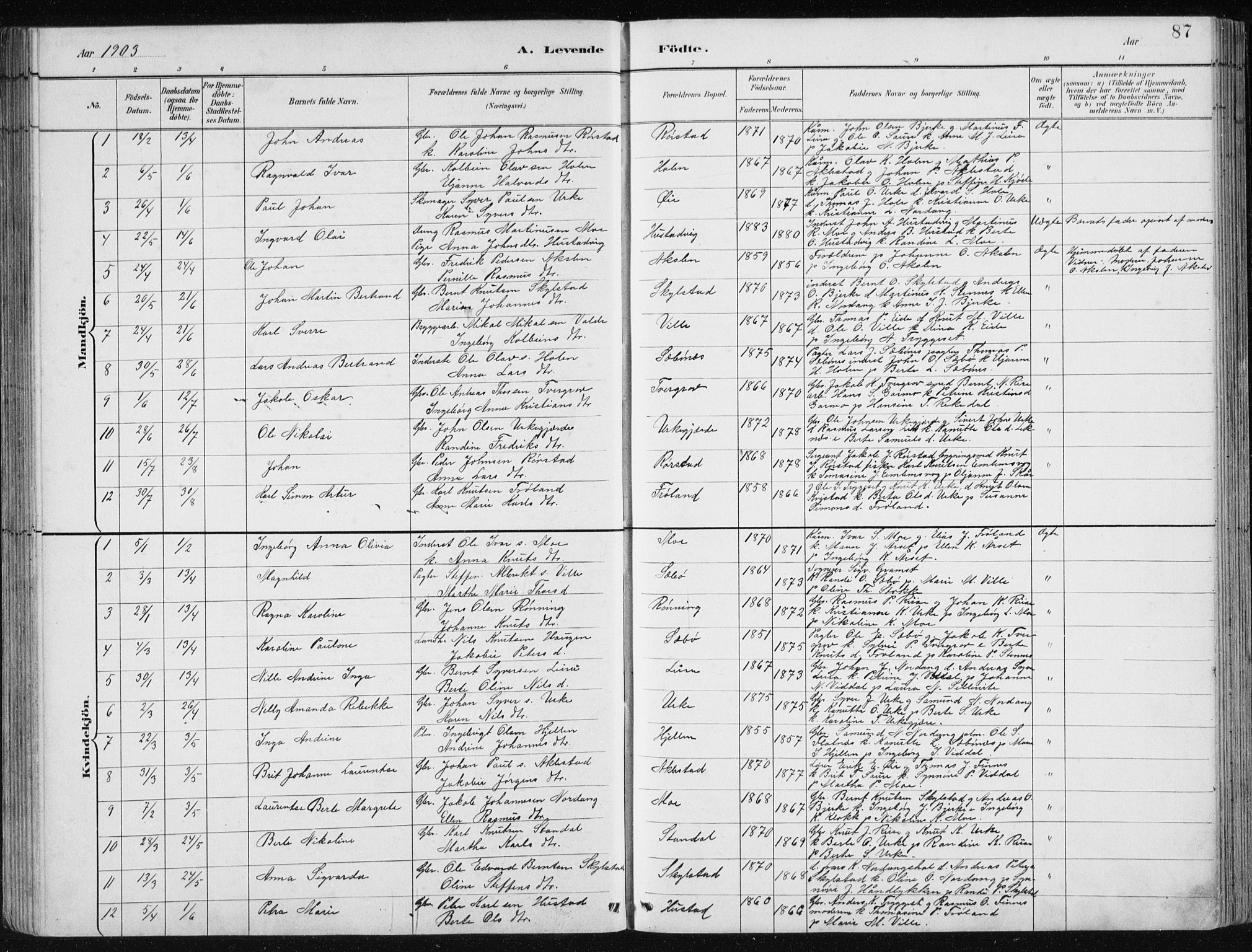 Ministerialprotokoller, klokkerbøker og fødselsregistre - Møre og Romsdal, AV/SAT-A-1454/515/L0215: Klokkerbok nr. 515C02, 1884-1906, s. 87