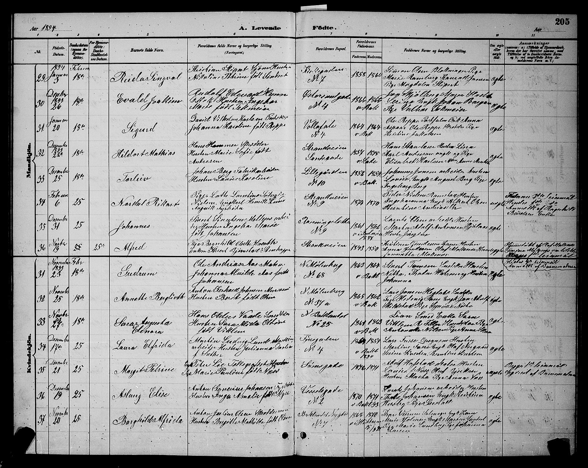 Ministerialprotokoller, klokkerbøker og fødselsregistre - Sør-Trøndelag, SAT/A-1456/604/L0222: Klokkerbok nr. 604C05, 1886-1895, s. 205