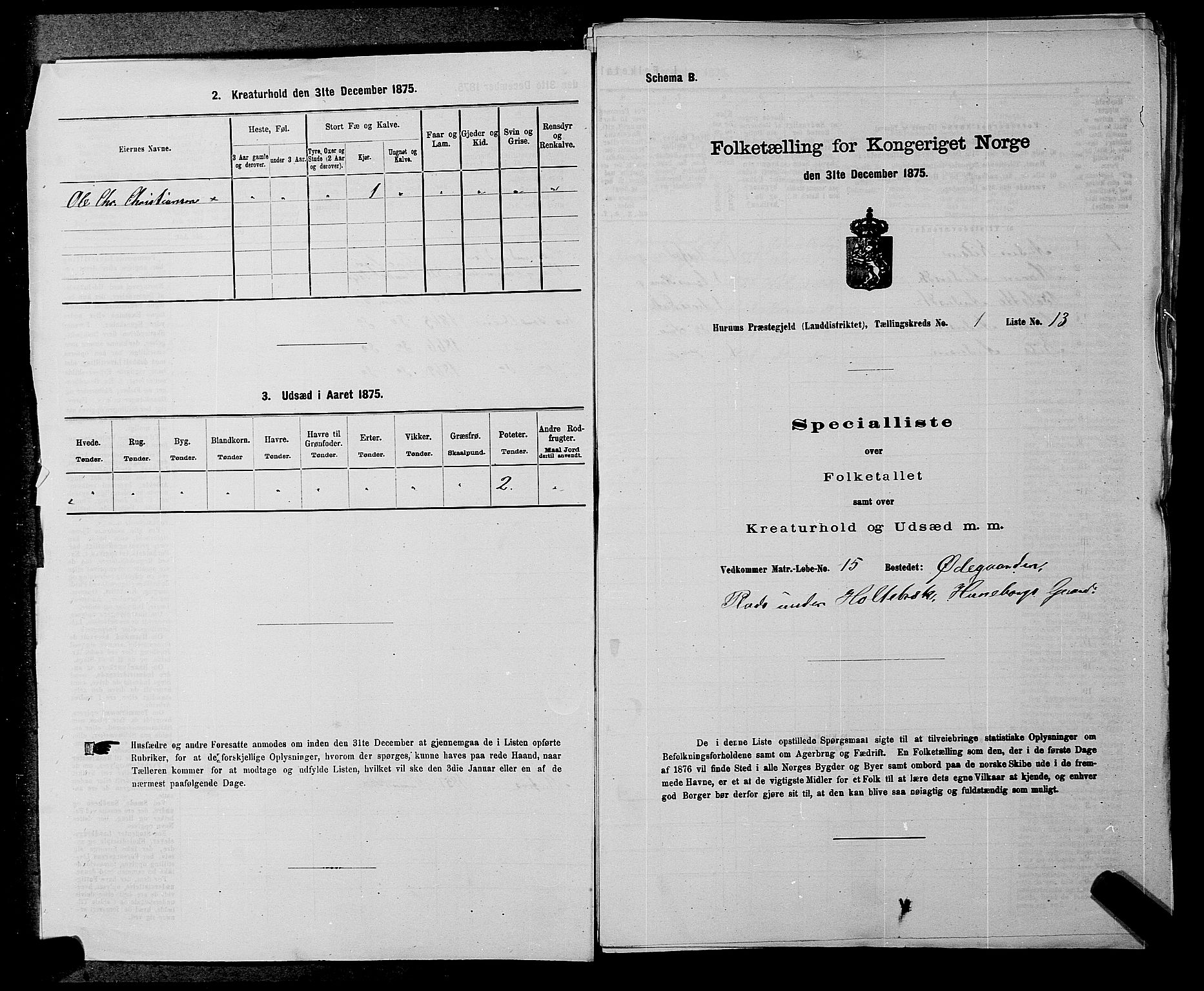 SAKO, Folketelling 1875 for 0628L Hurum prestegjeld, Hurum sokn, 1875, s. 35