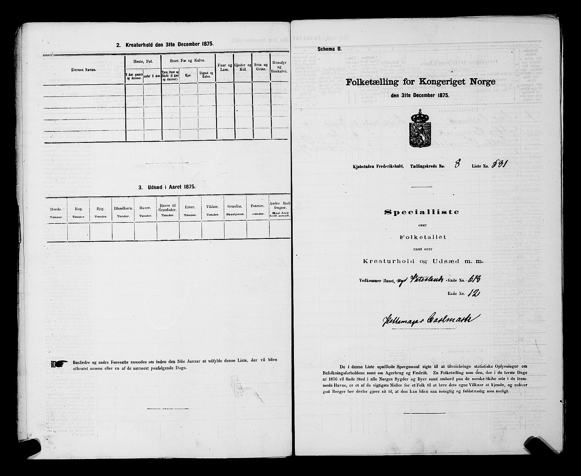RA, Folketelling 1875 for 0101P Fredrikshald prestegjeld, 1875, s. 1413