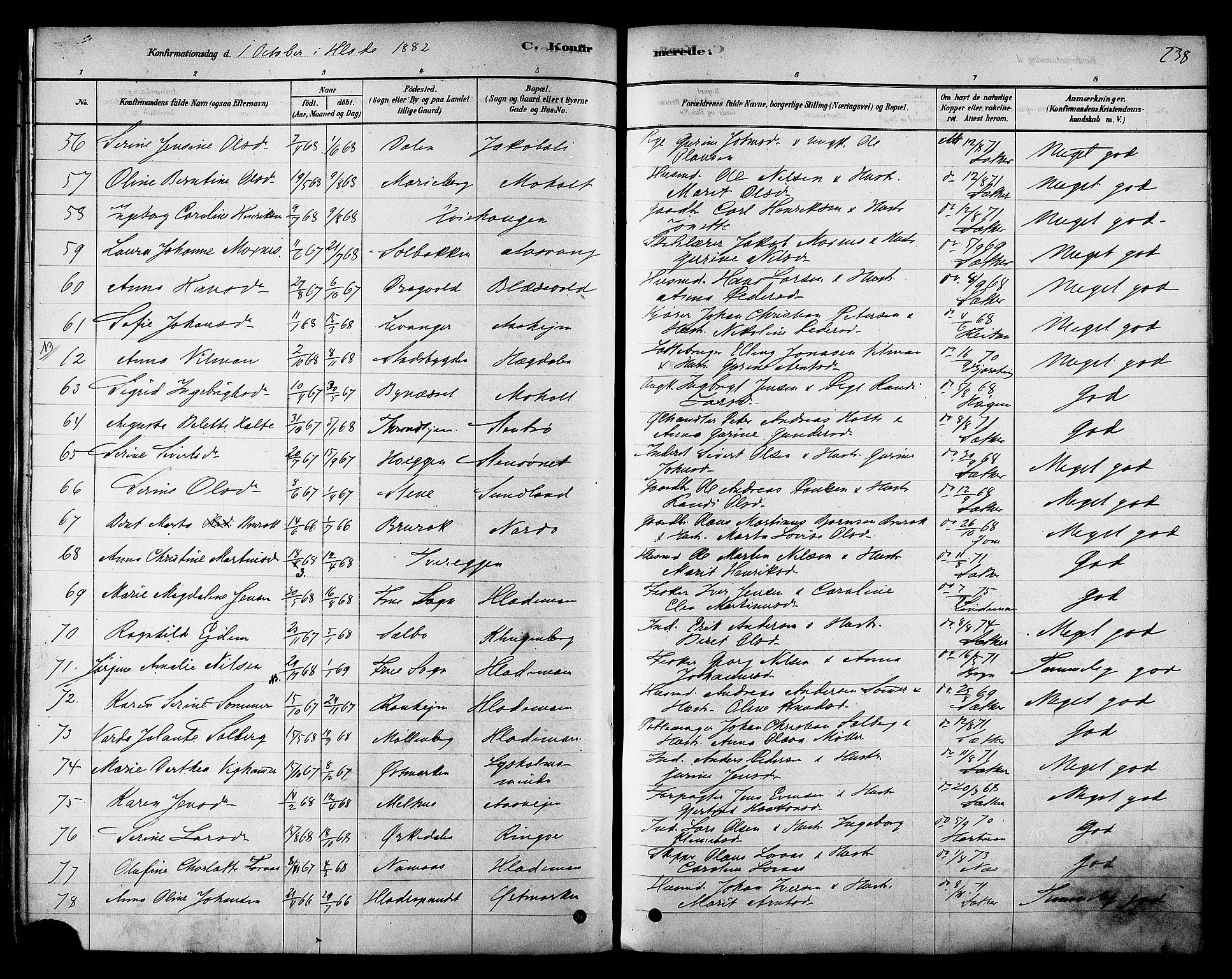 Ministerialprotokoller, klokkerbøker og fødselsregistre - Sør-Trøndelag, SAT/A-1456/606/L0294: Ministerialbok nr. 606A09, 1878-1886, s. 238