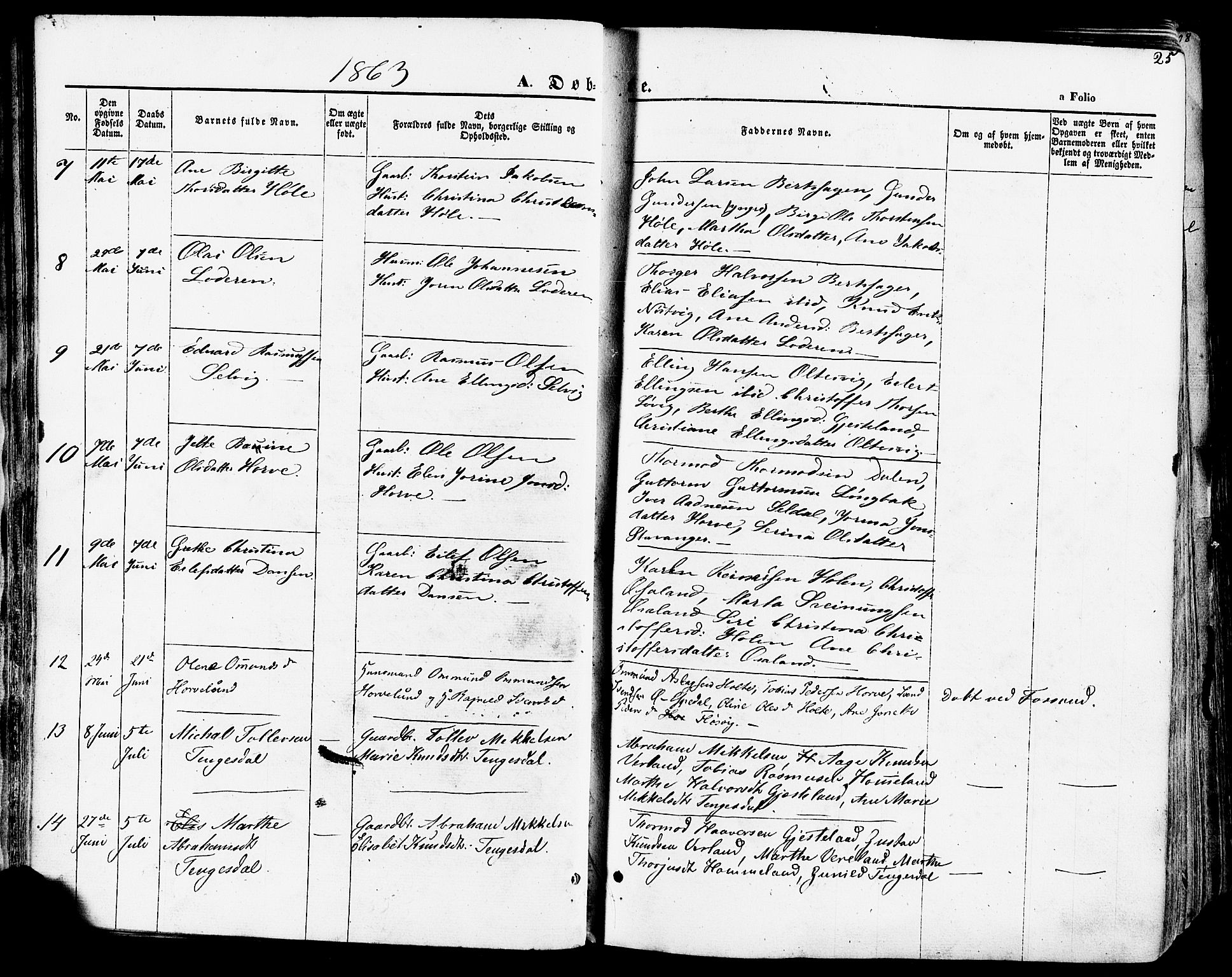 Høgsfjord sokneprestkontor, AV/SAST-A-101624/H/Ha/Haa/L0002: Ministerialbok nr. A 2, 1855-1885, s. 25