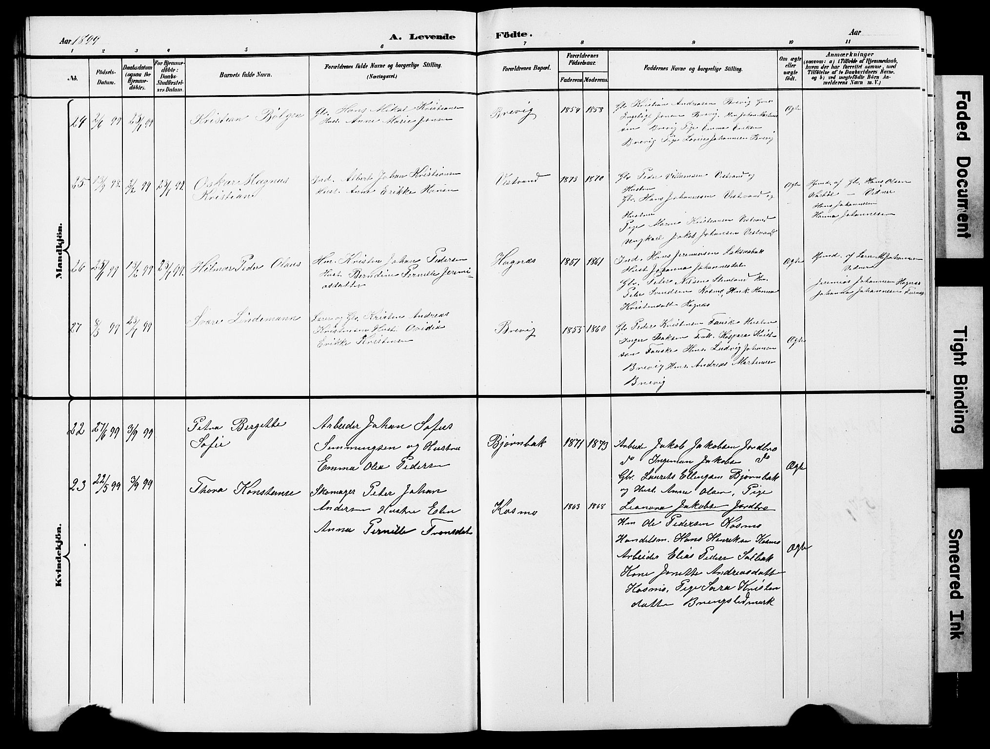 Ministerialprotokoller, klokkerbøker og fødselsregistre - Nordland, AV/SAT-A-1459/852/L0755: Klokkerbok nr. 852C06, 1895-1902