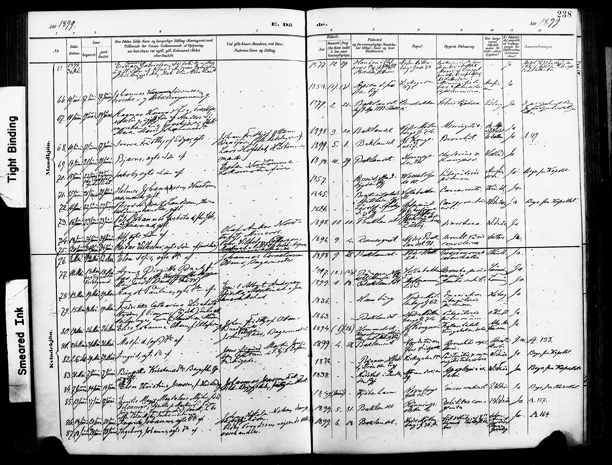 Ministerialprotokoller, klokkerbøker og fødselsregistre - Sør-Trøndelag, SAT/A-1456/604/L0198: Ministerialbok nr. 604A19, 1893-1900, s. 238