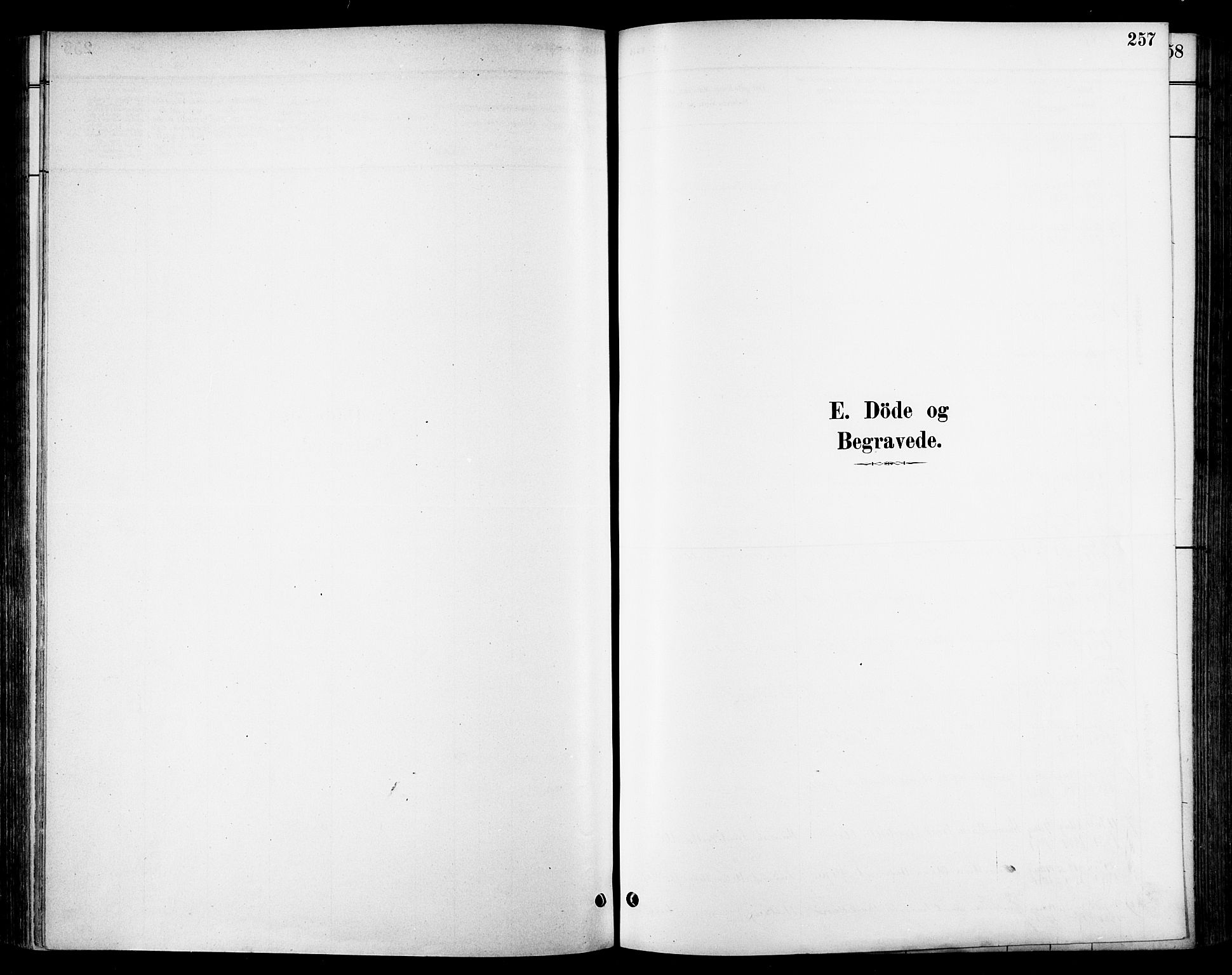 Ministerialprotokoller, klokkerbøker og fødselsregistre - Sør-Trøndelag, AV/SAT-A-1456/678/L0901: Ministerialbok nr. 678A10, 1881-1894, s. 257