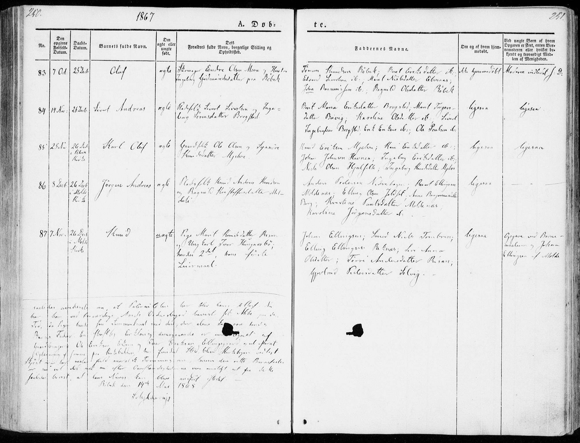 Ministerialprotokoller, klokkerbøker og fødselsregistre - Møre og Romsdal, AV/SAT-A-1454/555/L0653: Ministerialbok nr. 555A04, 1843-1869, s. 250-251