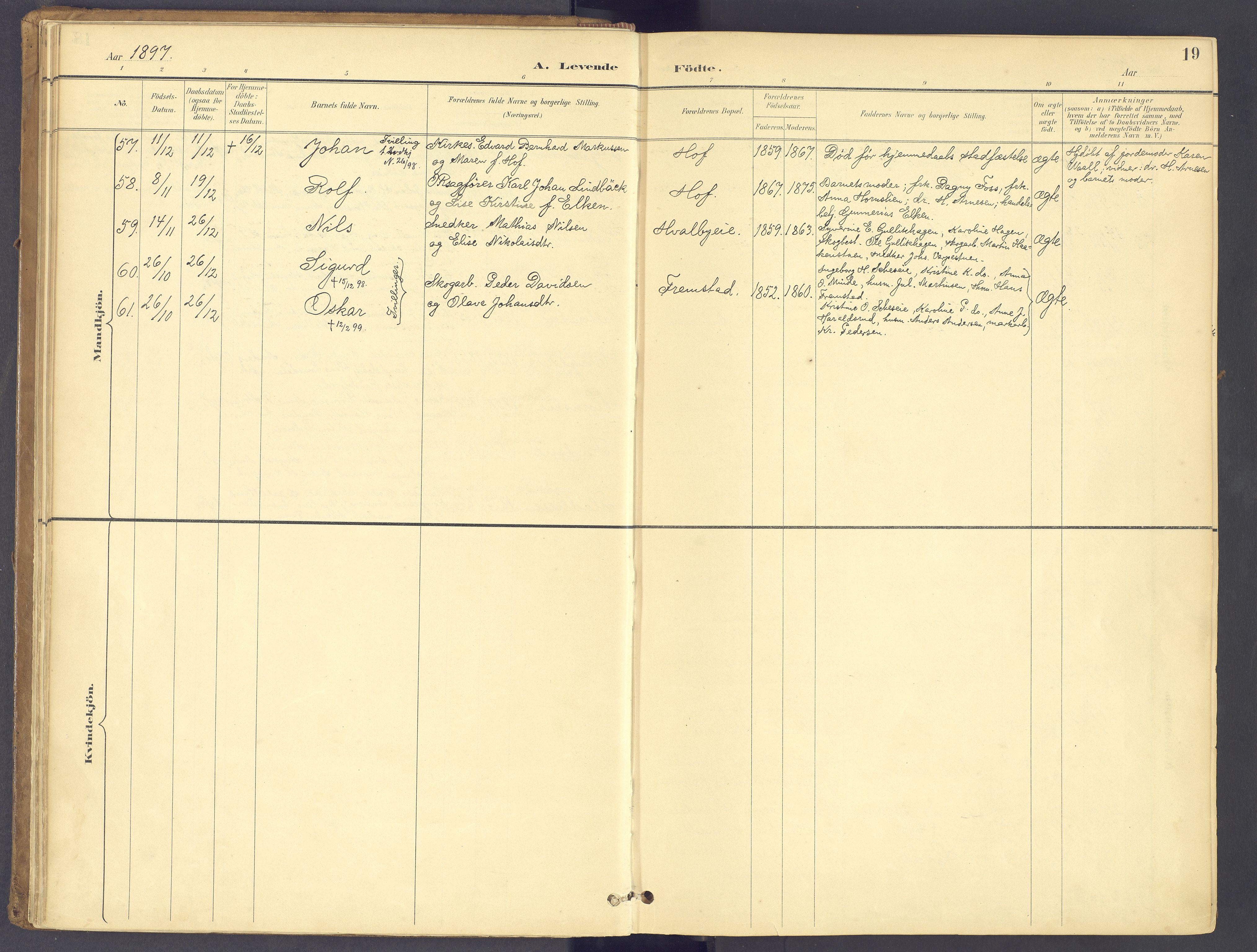 Søndre Land prestekontor, SAH/PREST-122/K/L0006: Ministerialbok nr. 6, 1895-1904, s. 19