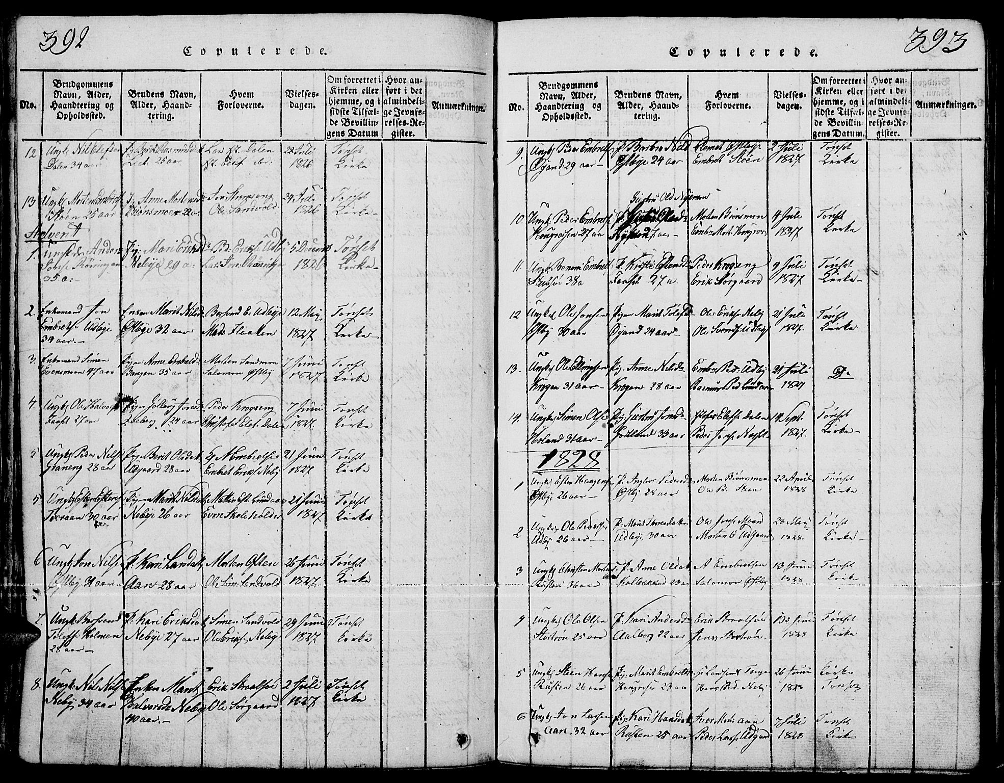 Tynset prestekontor, SAH/PREST-058/H/Ha/Hab/L0001: Klokkerbok nr. 1, 1814-1859, s. 392-393