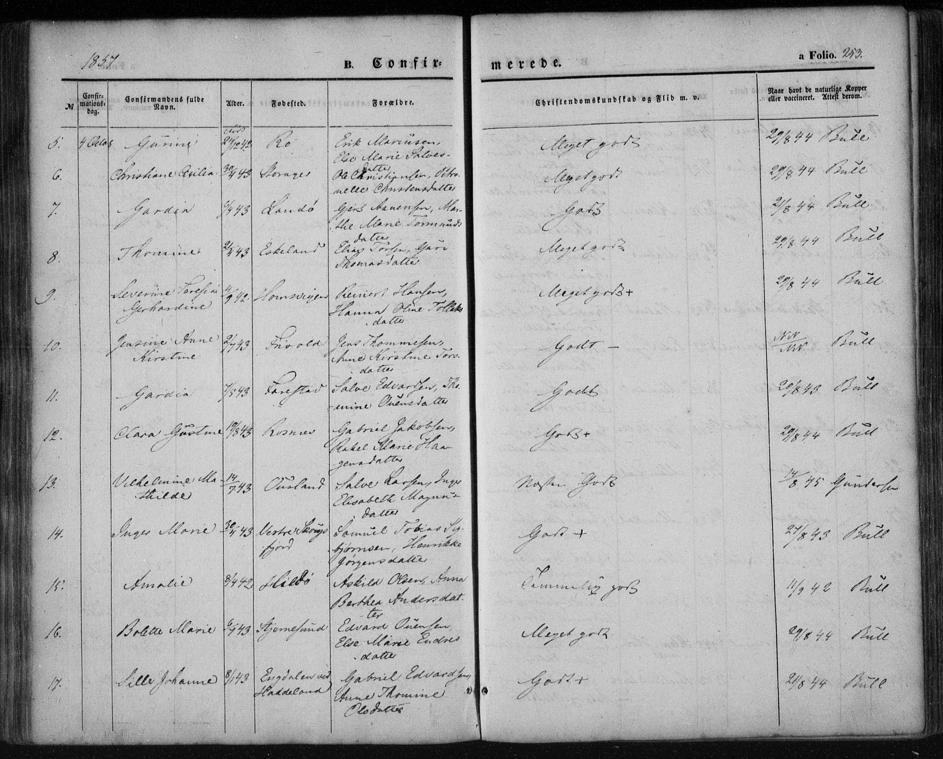 Mandal sokneprestkontor, AV/SAK-1111-0030/F/Fa/Faa/L0013: Ministerialbok nr. A 13, 1847-1859, s. 253