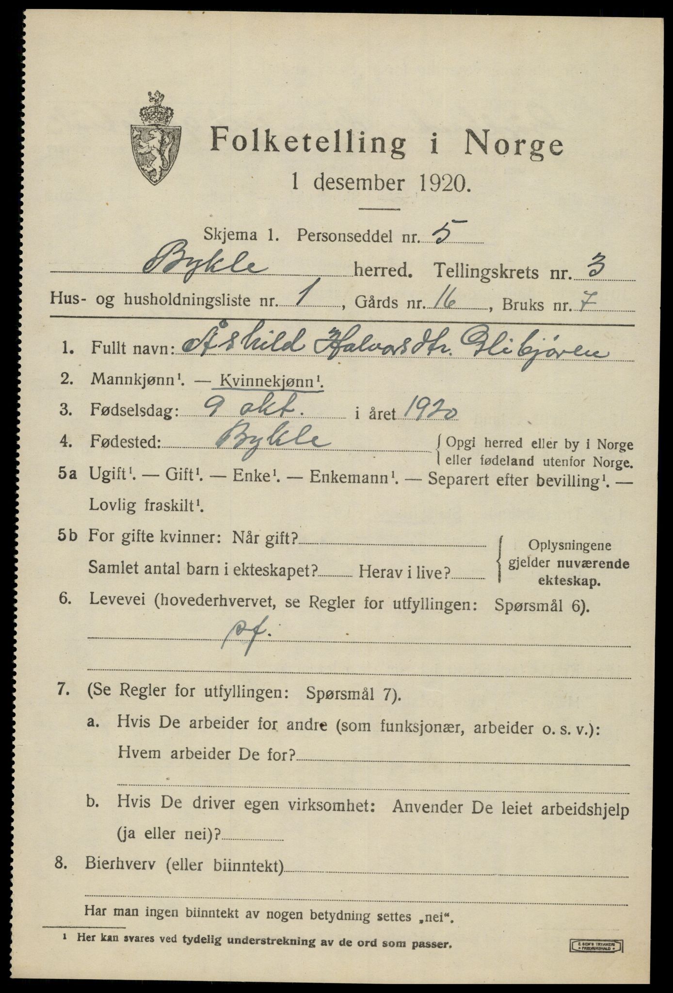 SAK, Folketelling 1920 for 0941 Bykle herred, 1920, s. 1031