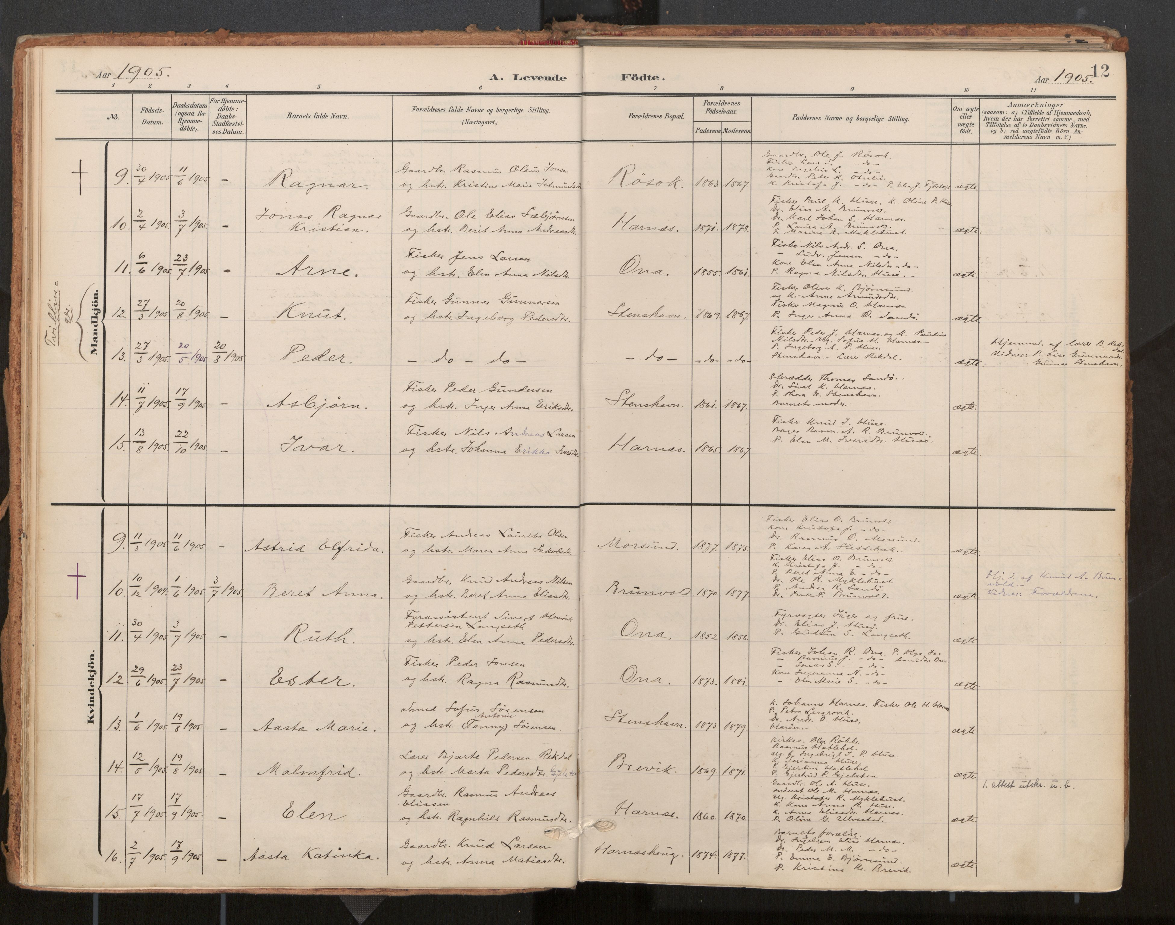 Ministerialprotokoller, klokkerbøker og fødselsregistre - Møre og Romsdal, AV/SAT-A-1454/561/L0730: Ministerialbok nr. 561A04, 1901-1929, s. 12
