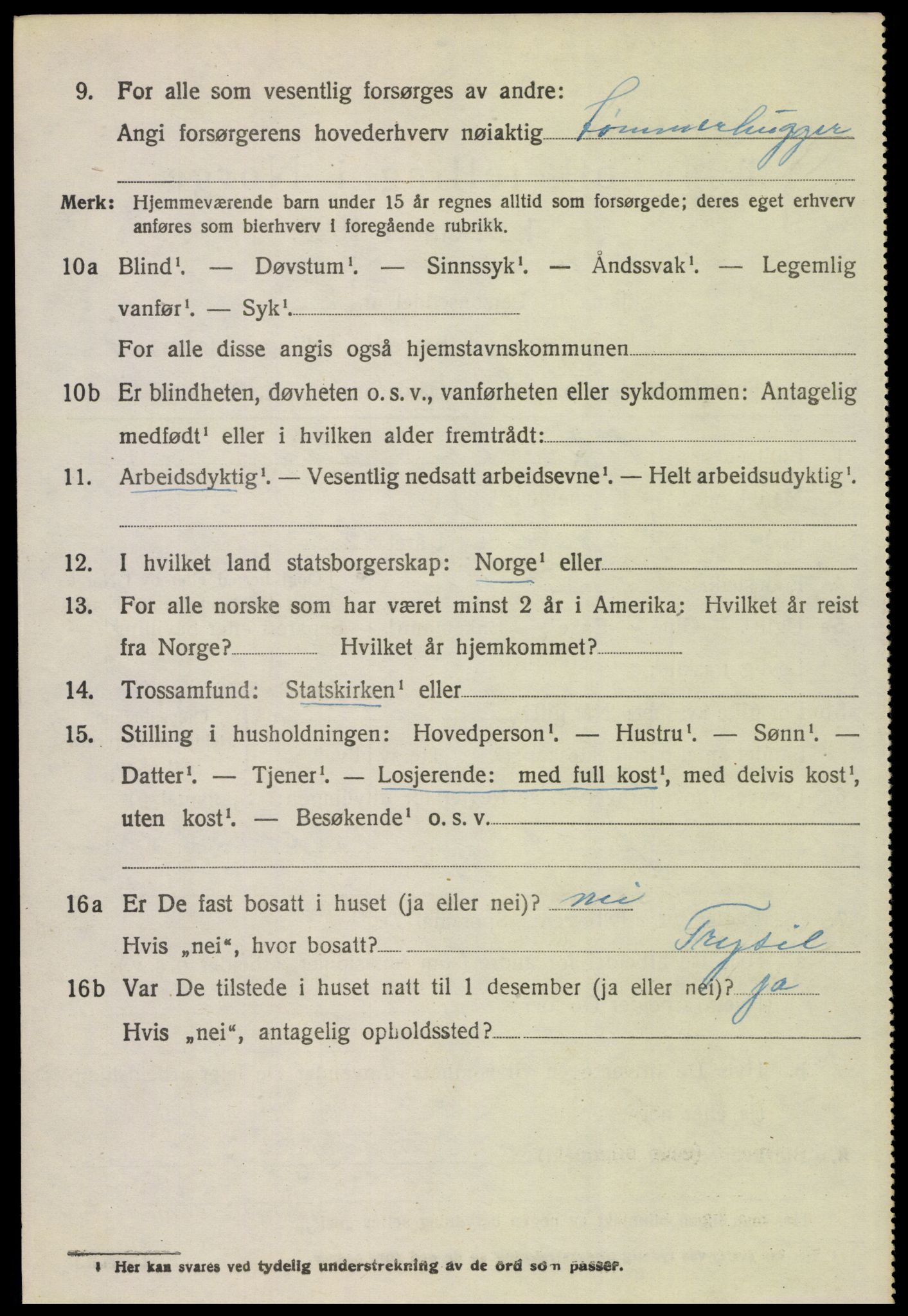 SAH, Folketelling 1920 for 0428 Trysil herred, 1920, s. 12994