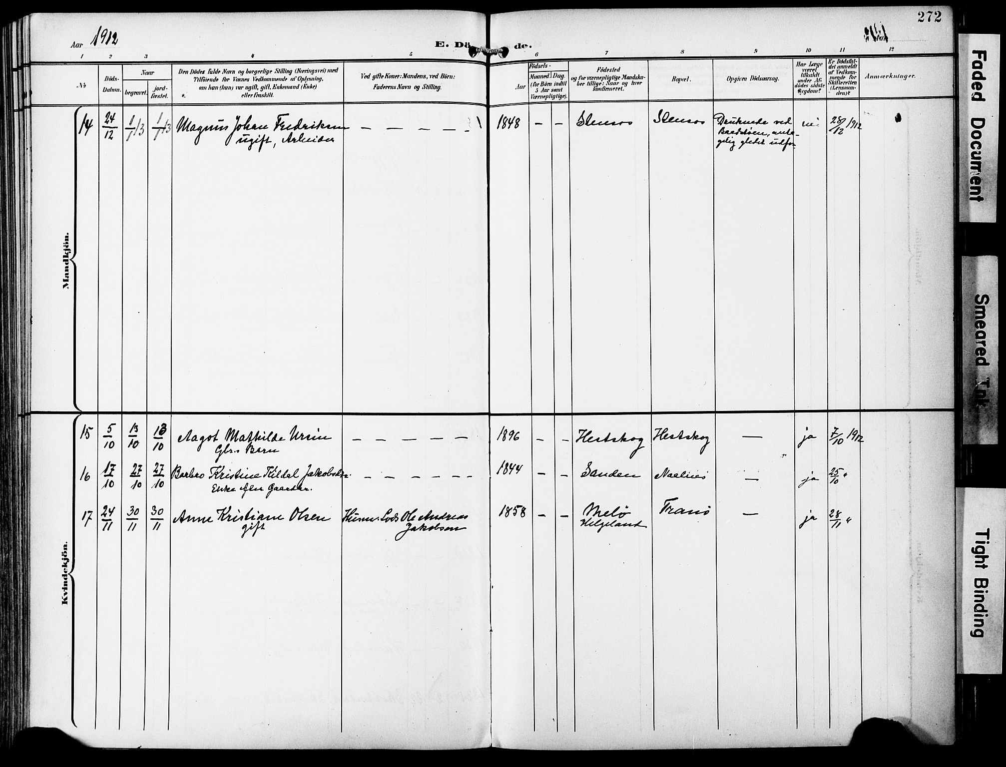 Ministerialprotokoller, klokkerbøker og fødselsregistre - Nordland, AV/SAT-A-1459/859/L0848: Ministerialbok nr. 859A08, 1900-1912, s. 272